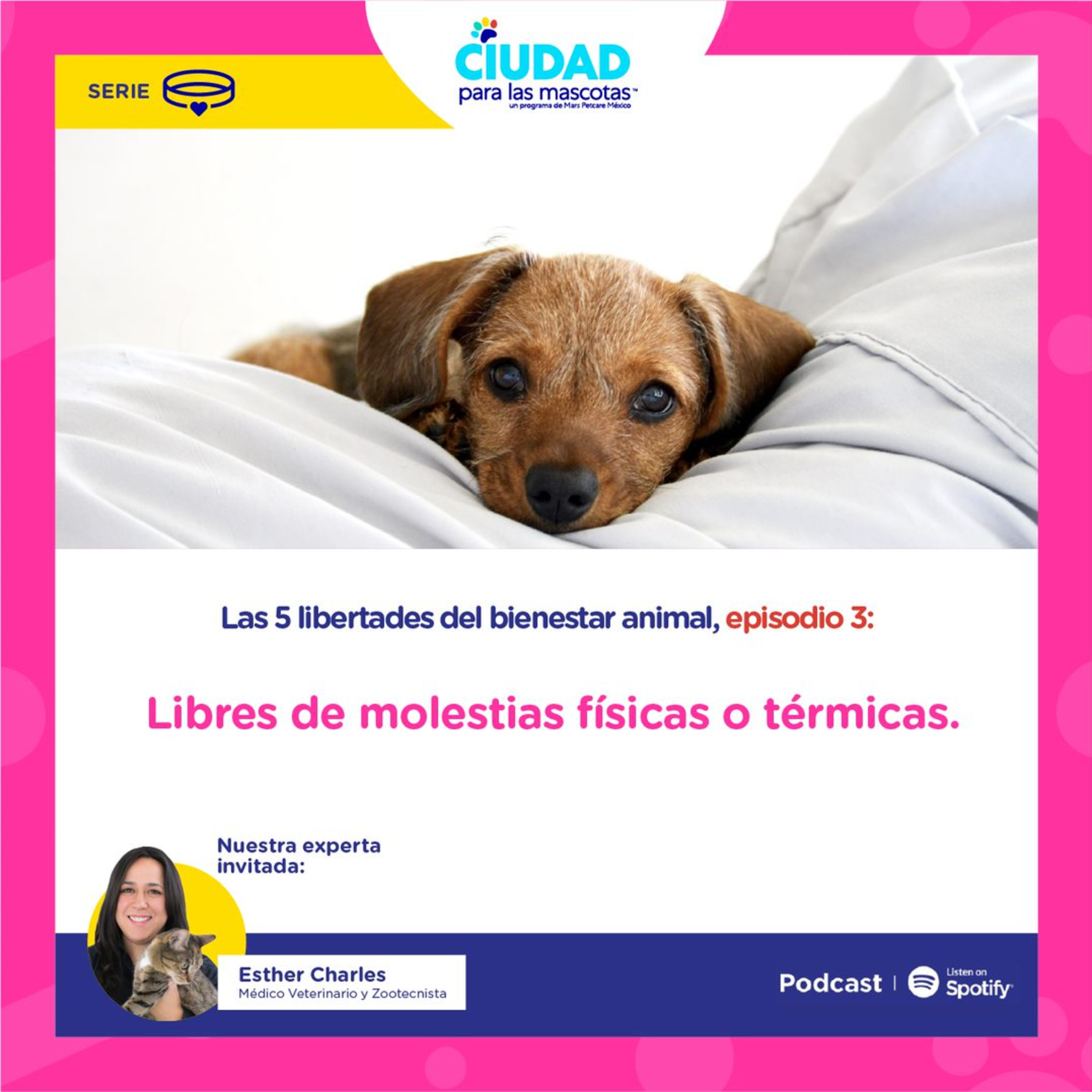 Los animales deben ser libres de molestias físicas o térmicas