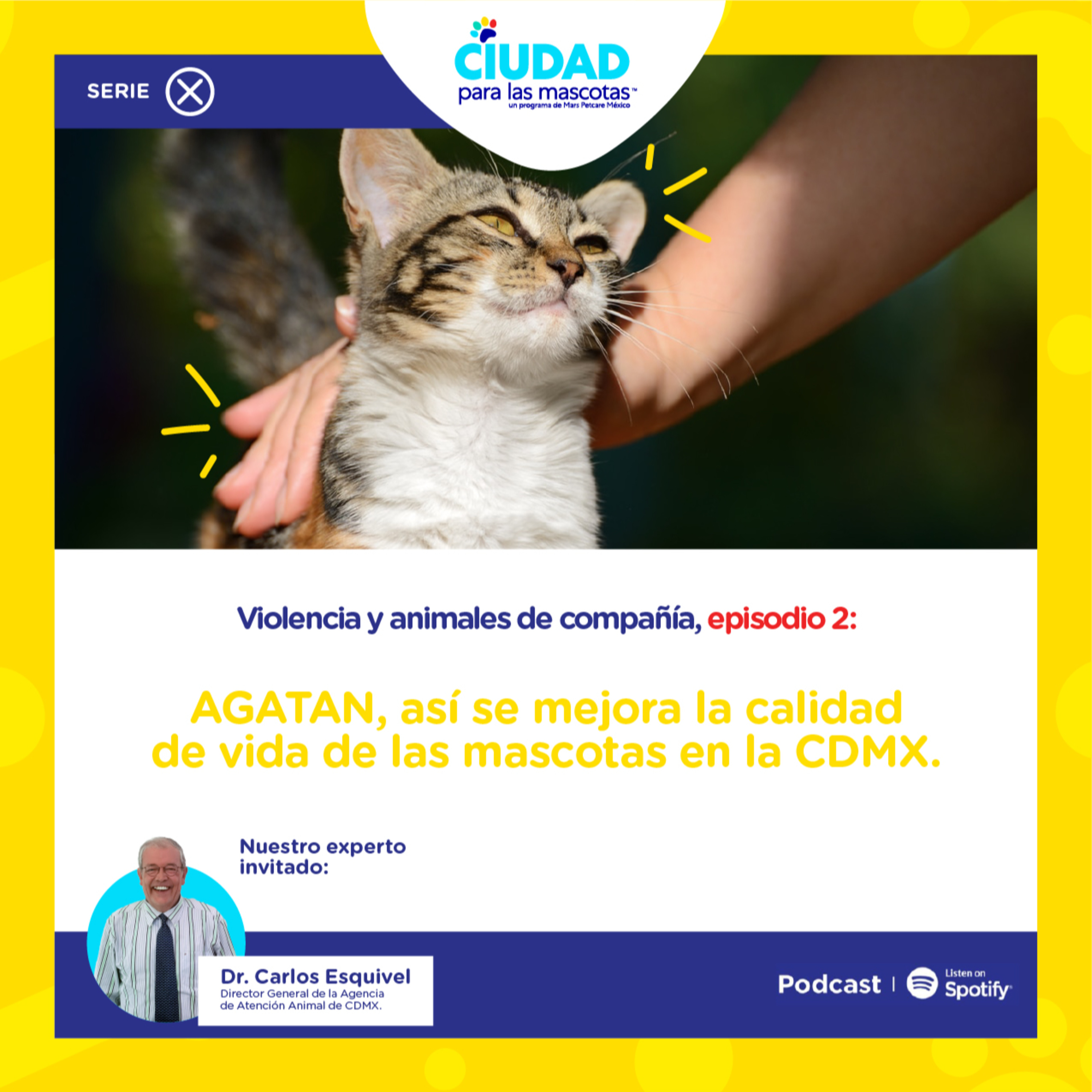 Así se mejora la calidad de vida de las mascotas en la CDMX