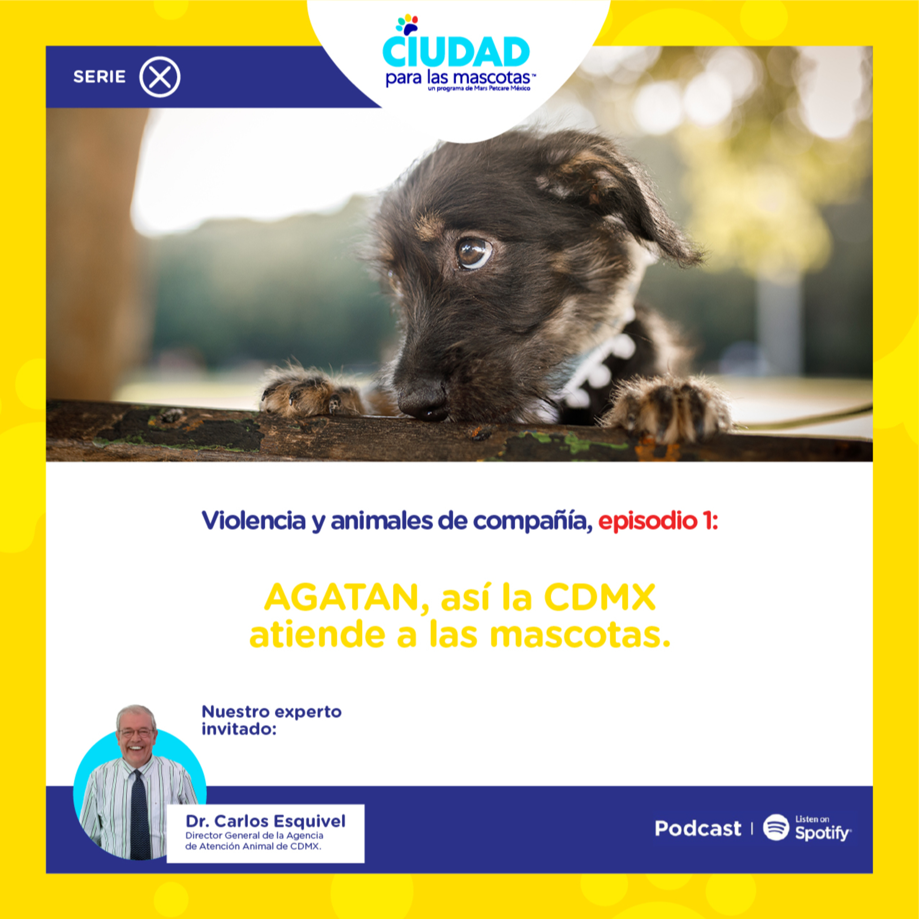¿Sabes que oficina de gobierno regula las mascotas en la CDMX? Conoce a la Agatan