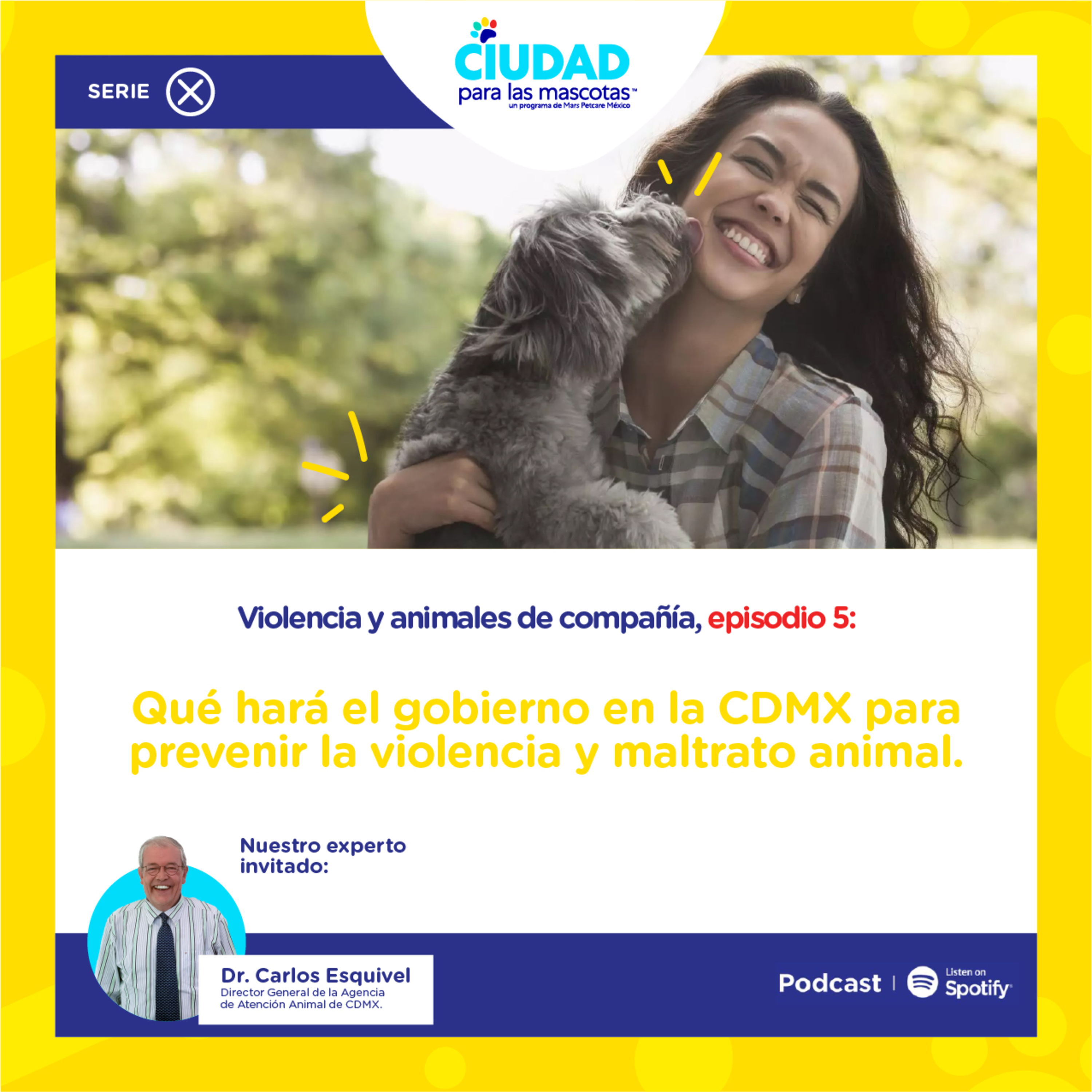 Qué hará el gobierno en la CDMX para prevenir el maltrato y la violencia a los animales