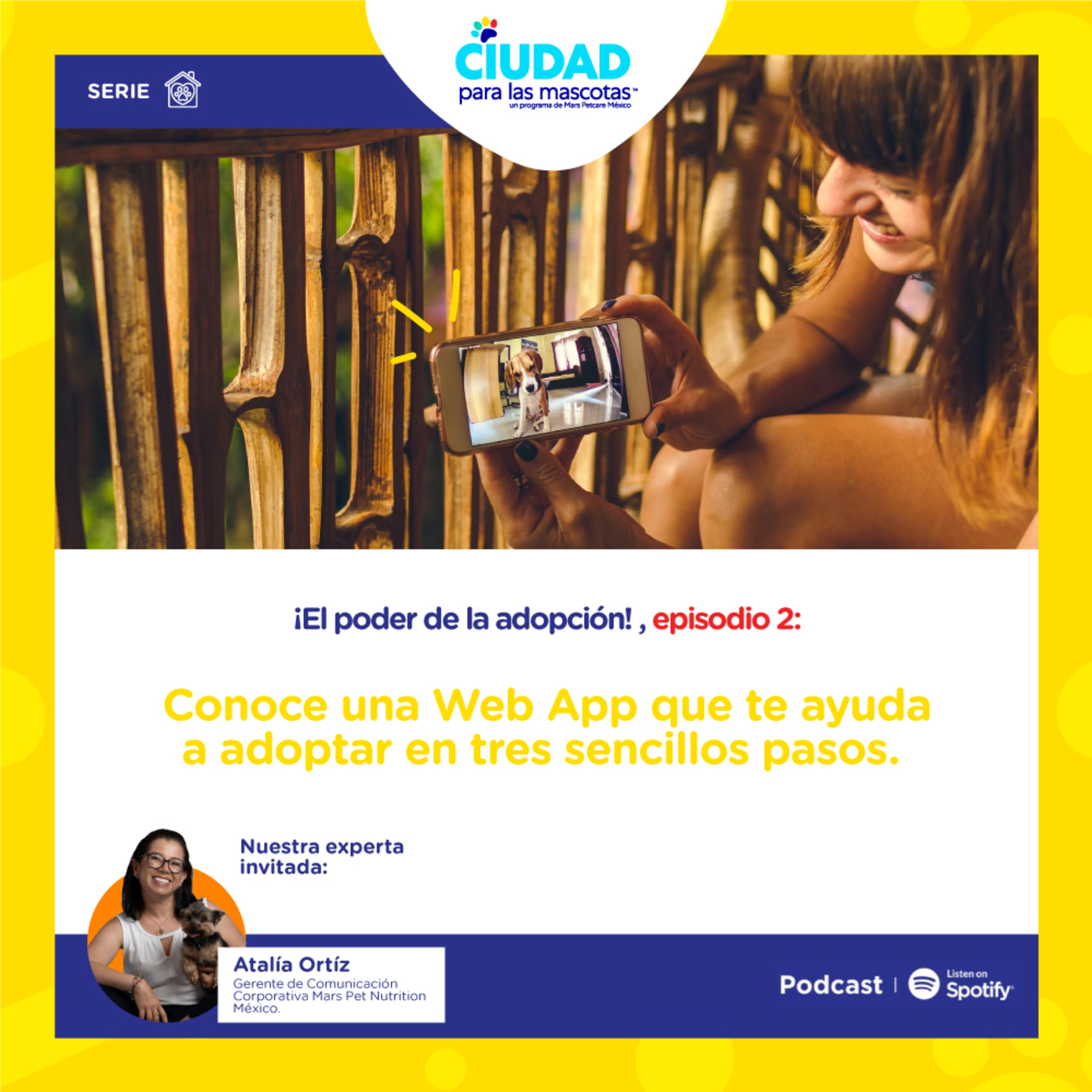 Pedigree Adóptame: la web app que te ayuda a adoptar en tres sencillos pasos