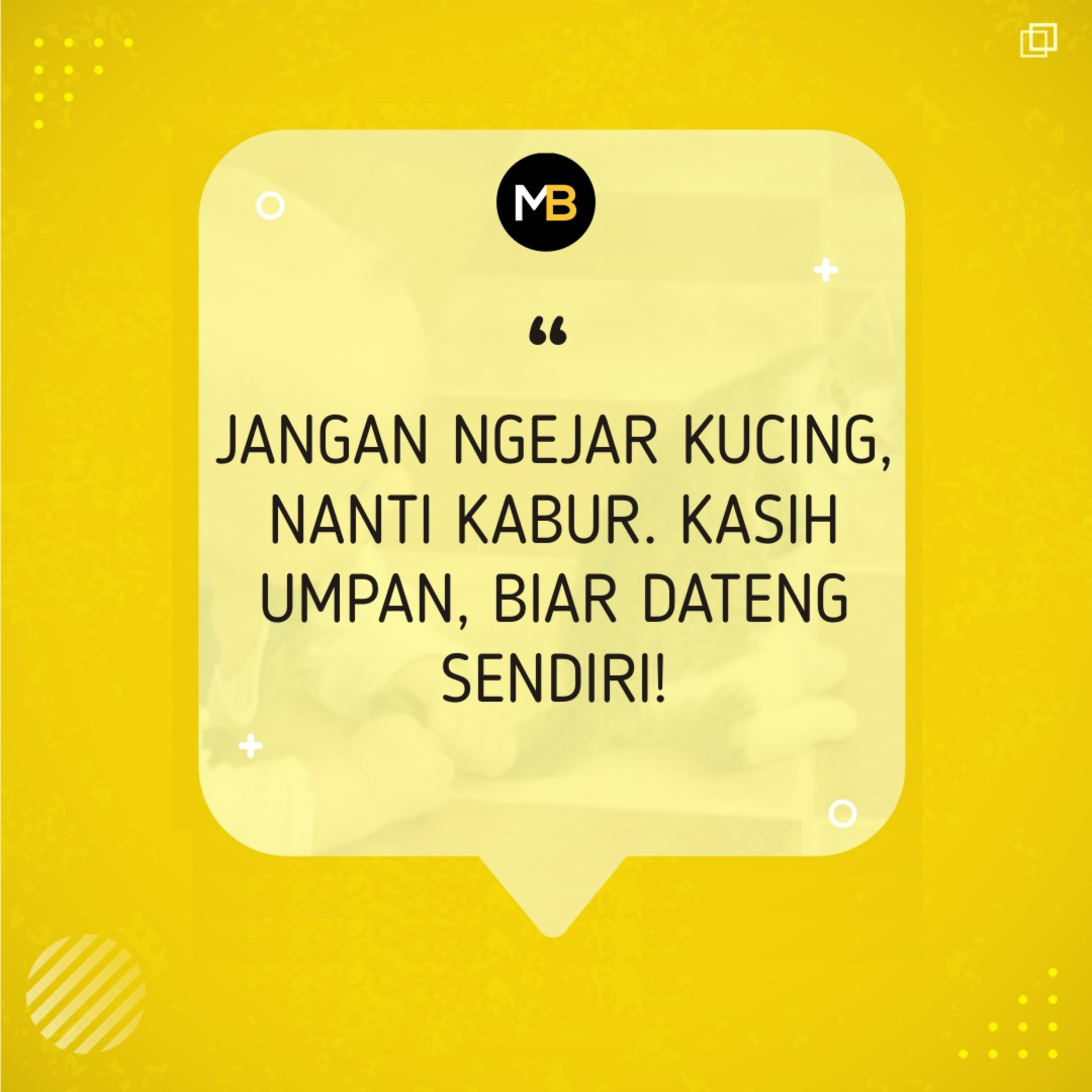 Jangan Ngejar Kucing, Nanti Kabur! Kasih Umpan, Biar Dateng Sendiri! episode artwork