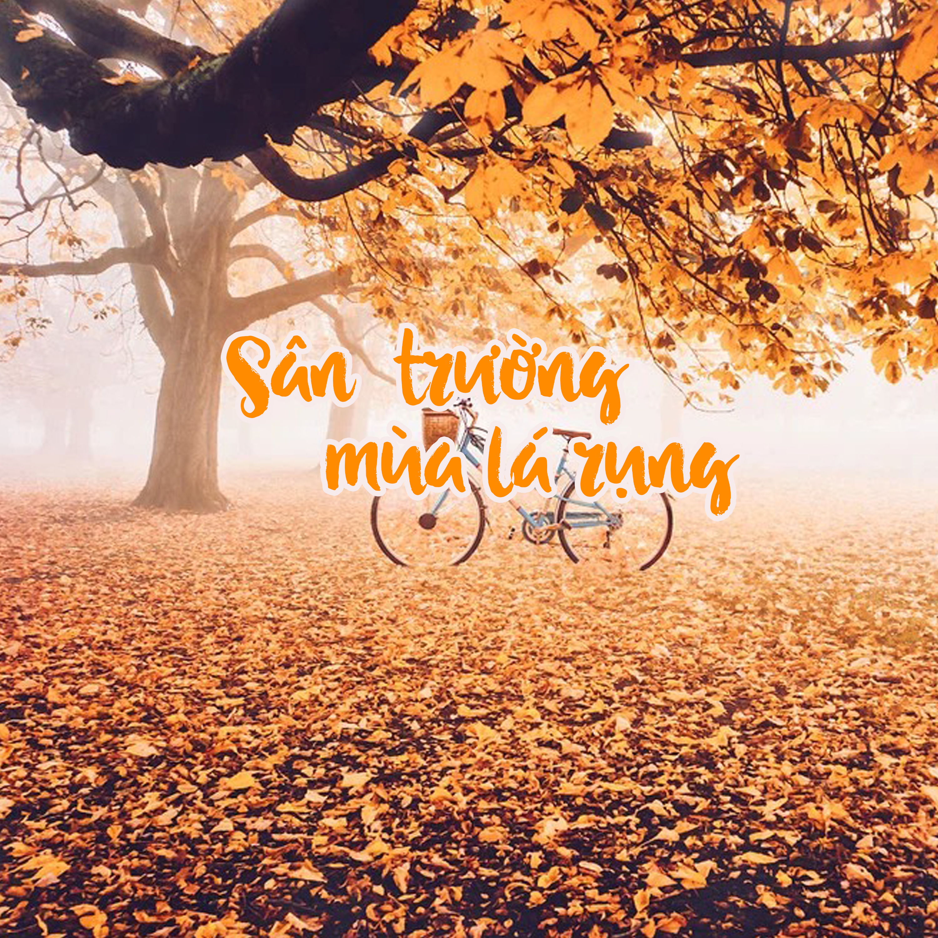 Văn học - Nghệ thuật xứ Thanh