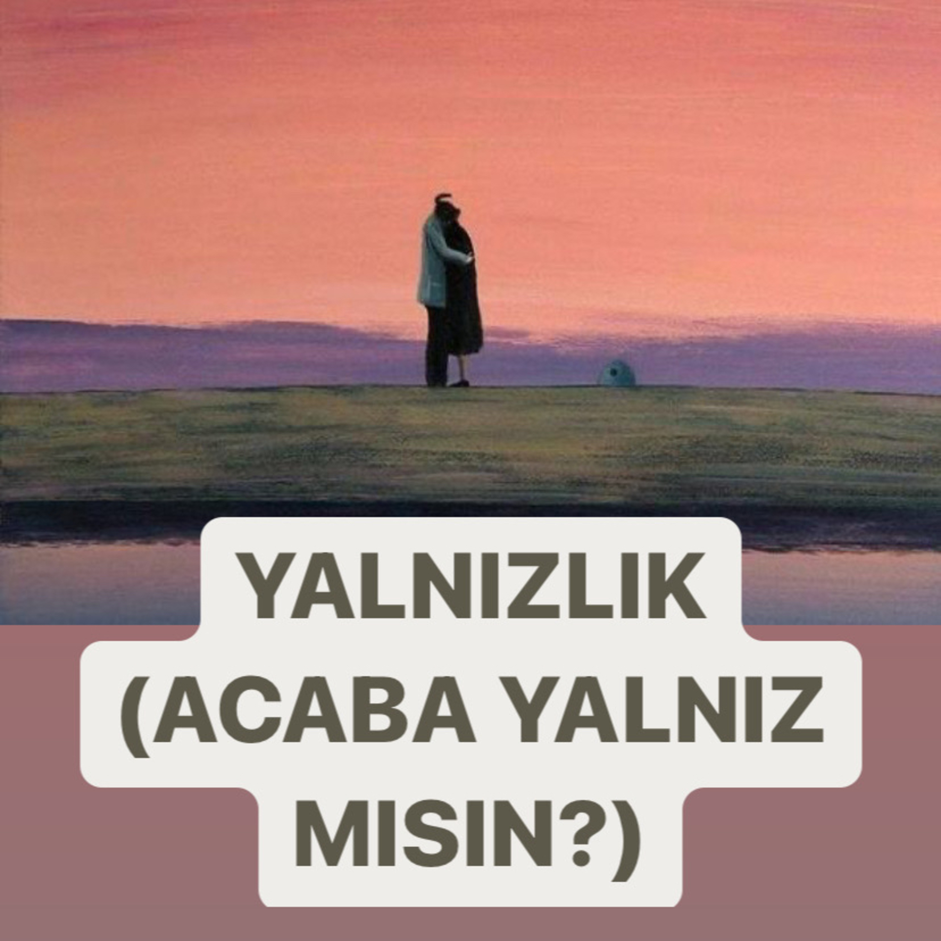 YALNIZLIK NEDİR NE DEĞİLDİR? (ACABA YALNIZ MISIN?) episode artwork
