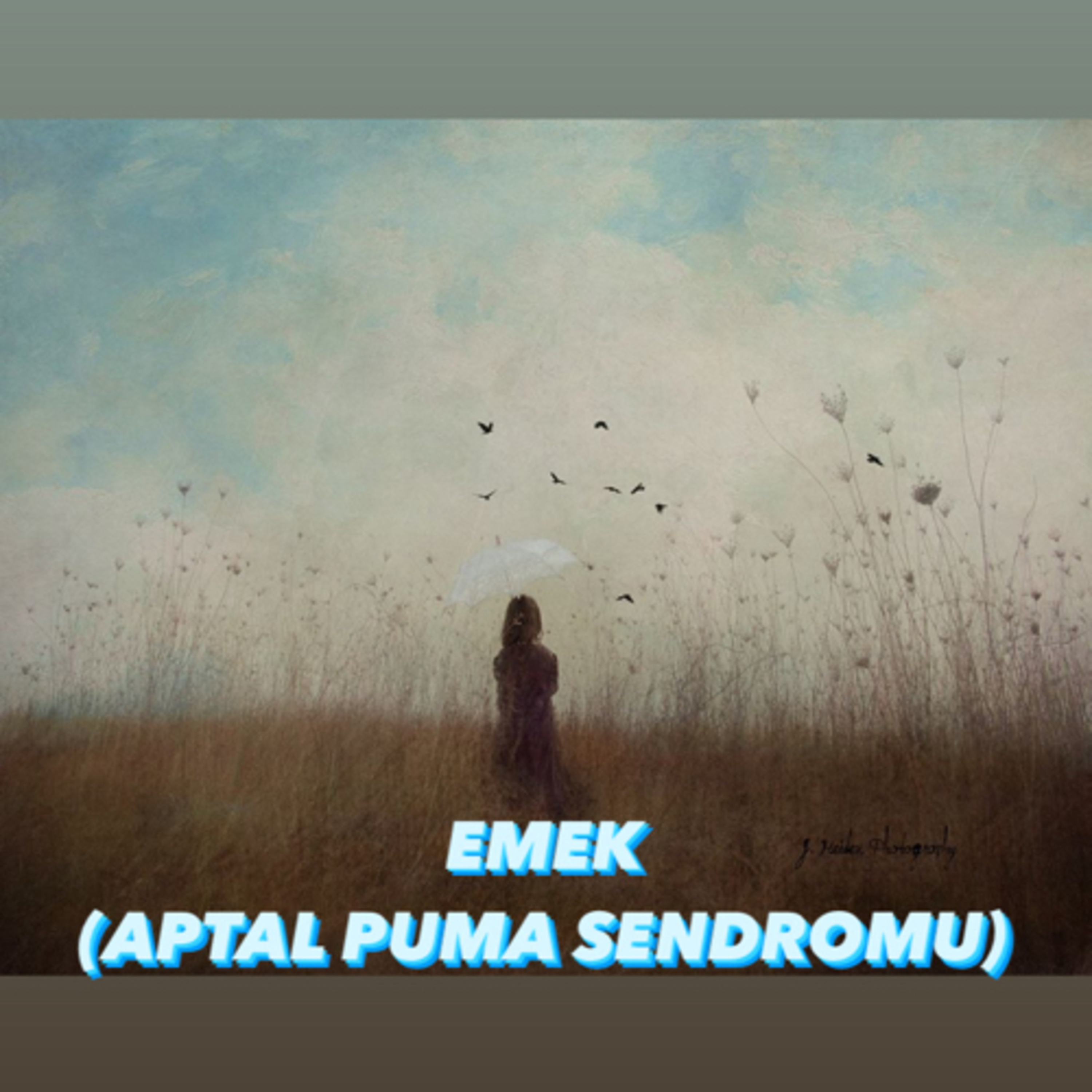 EMEK (APTAL PUMA SENDROMU) episode artwork