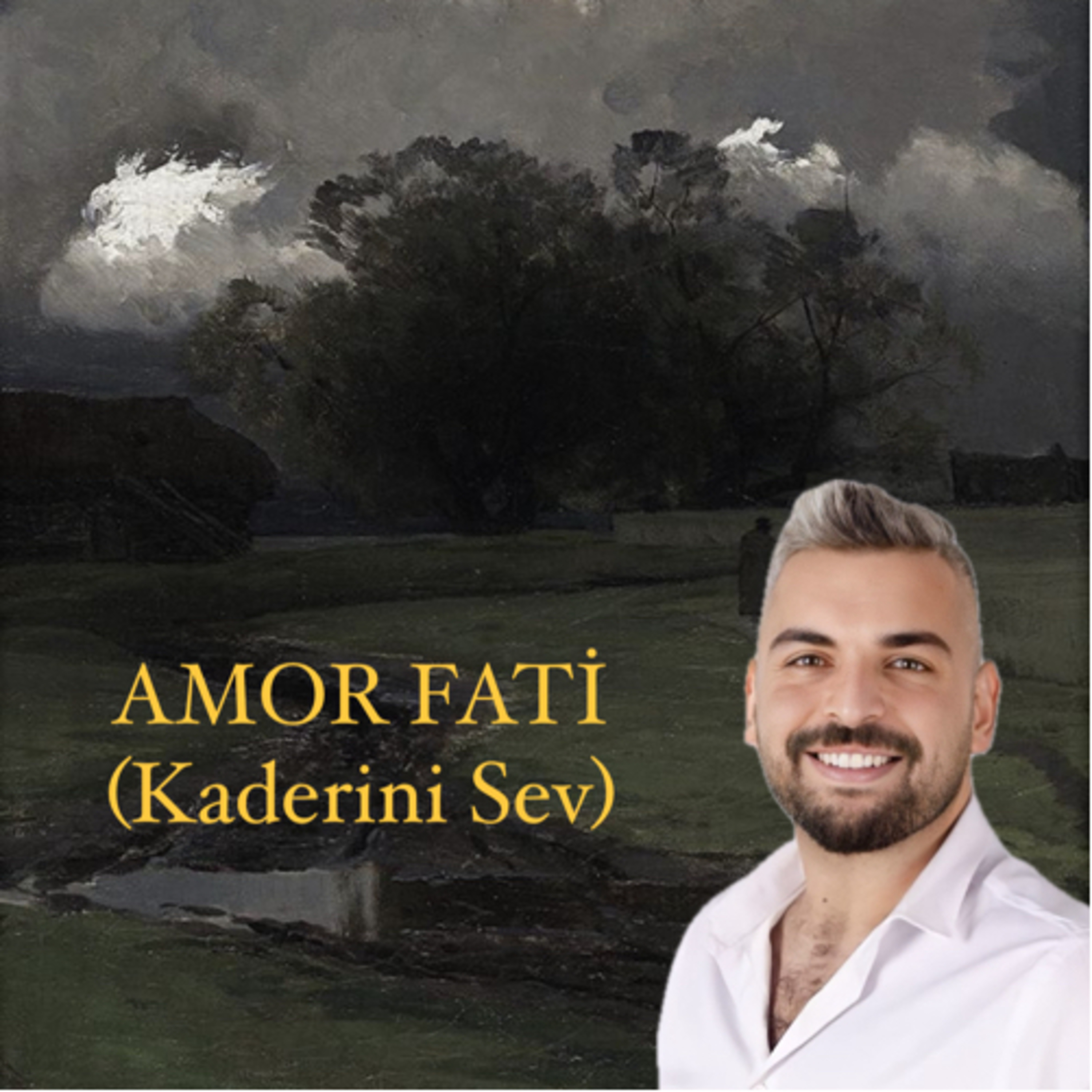 Amor Fati (Kaderimizi sevmenin yolları) episode artwork