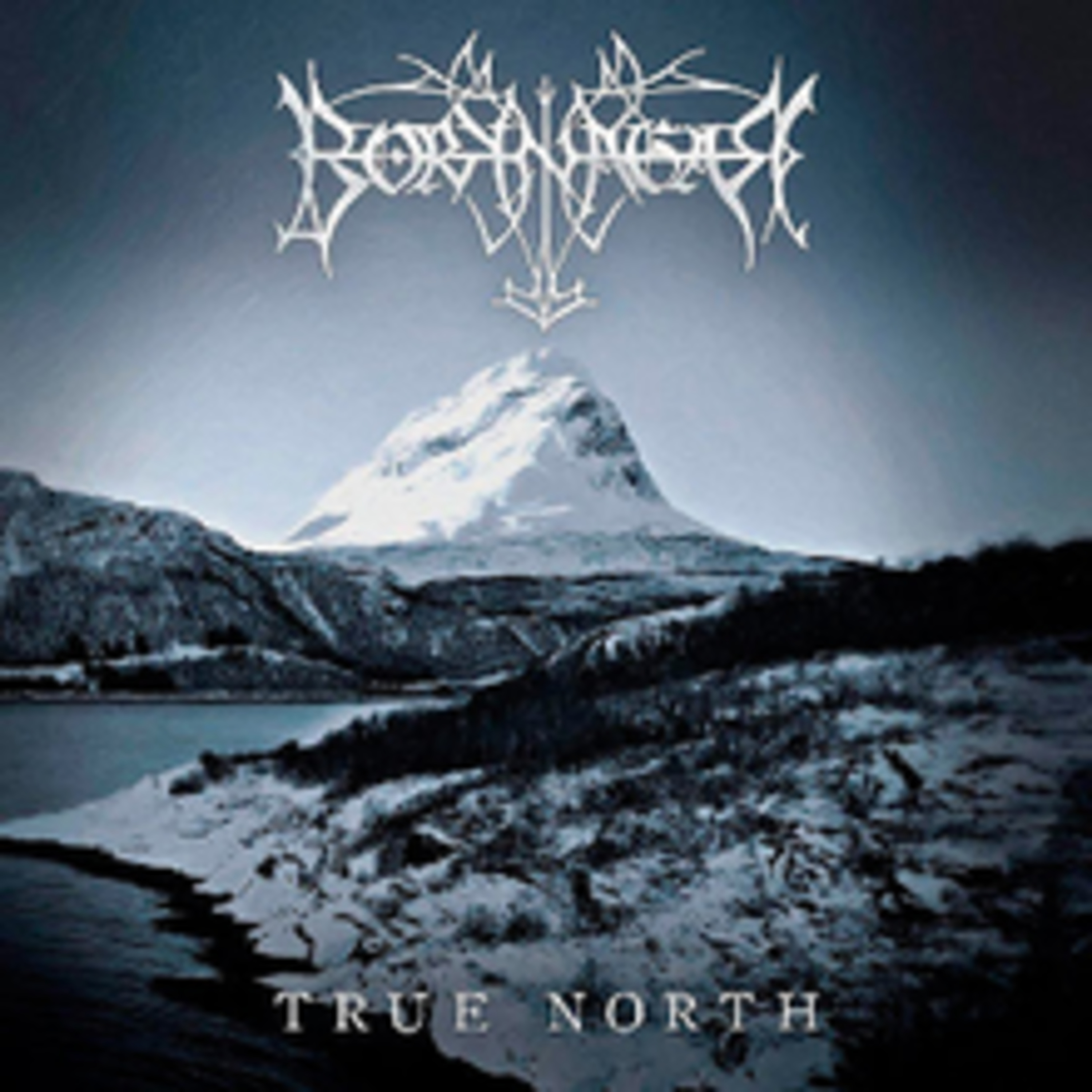 Thunderdome Metal Reviews: The Church of Heavy Metal