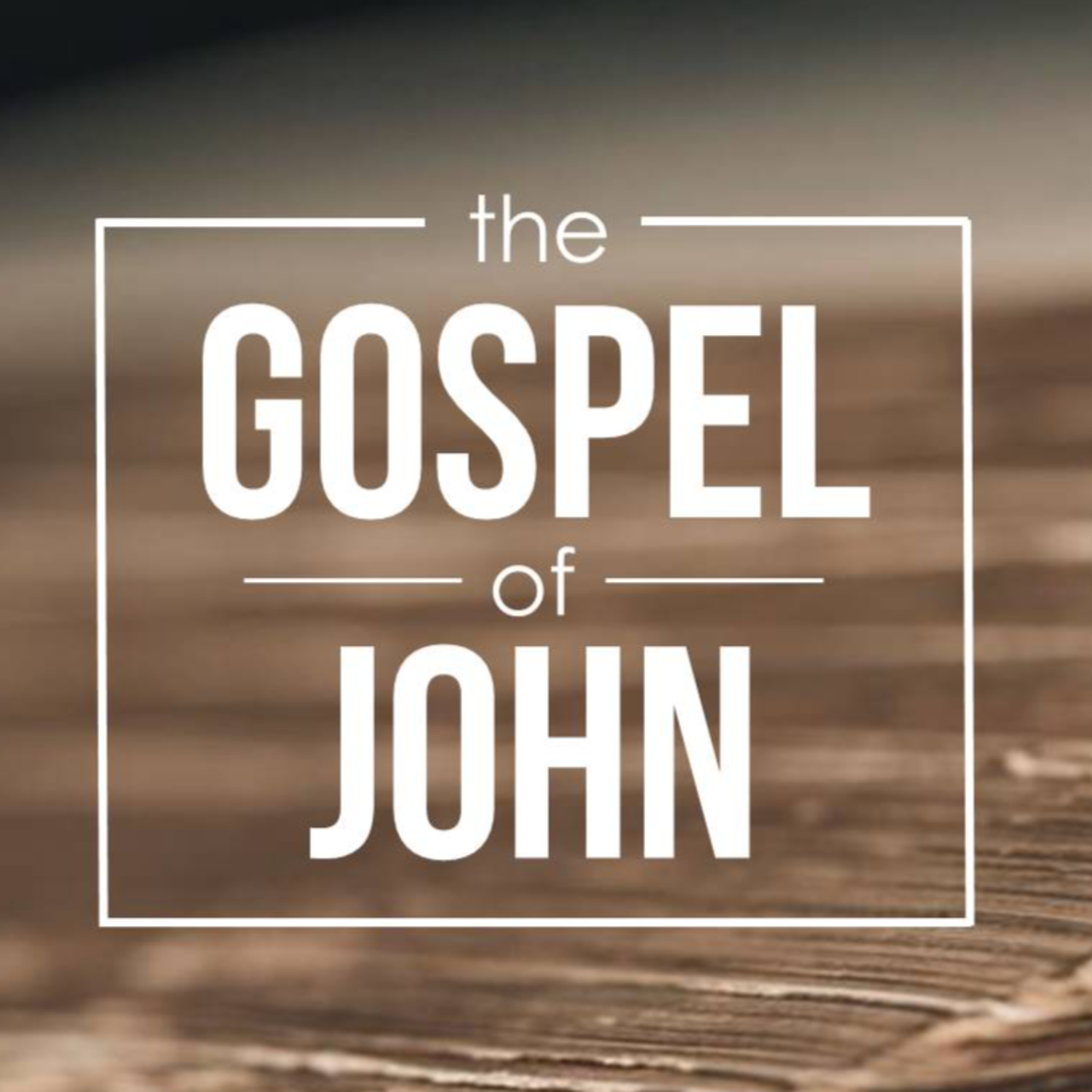 John 16:16-33 episode artwork