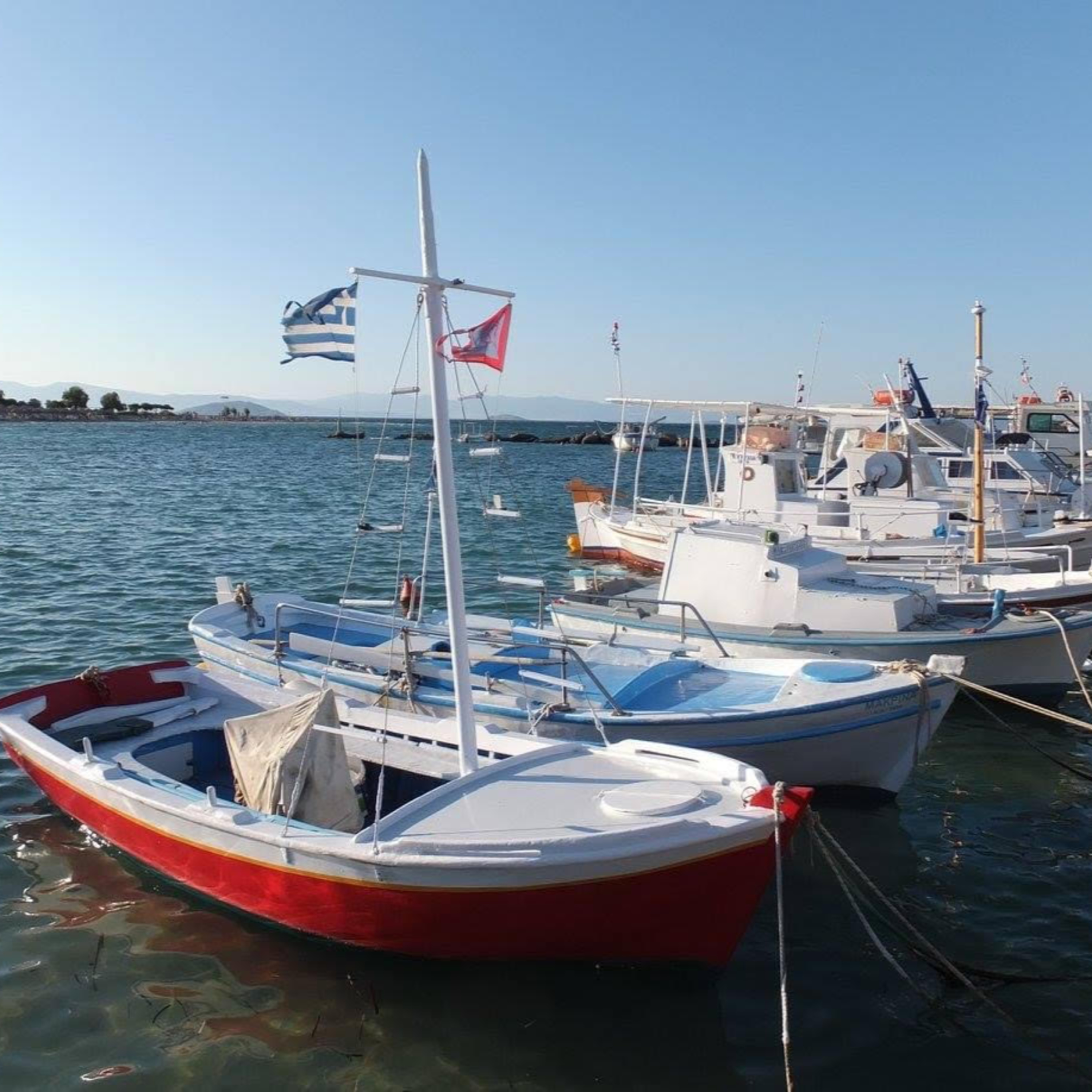 Adventures in Athens and Agistri