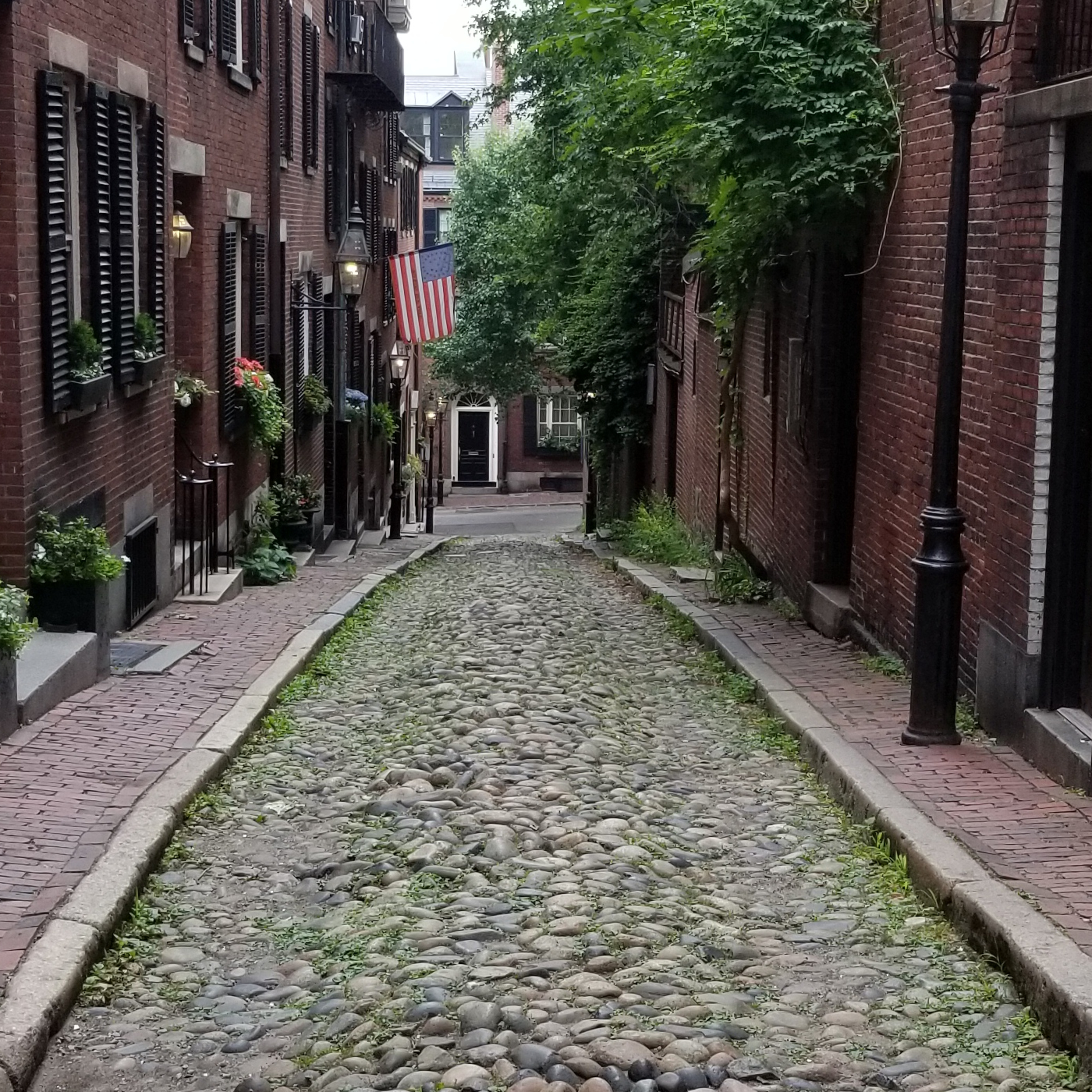 Our Backyard in Boston