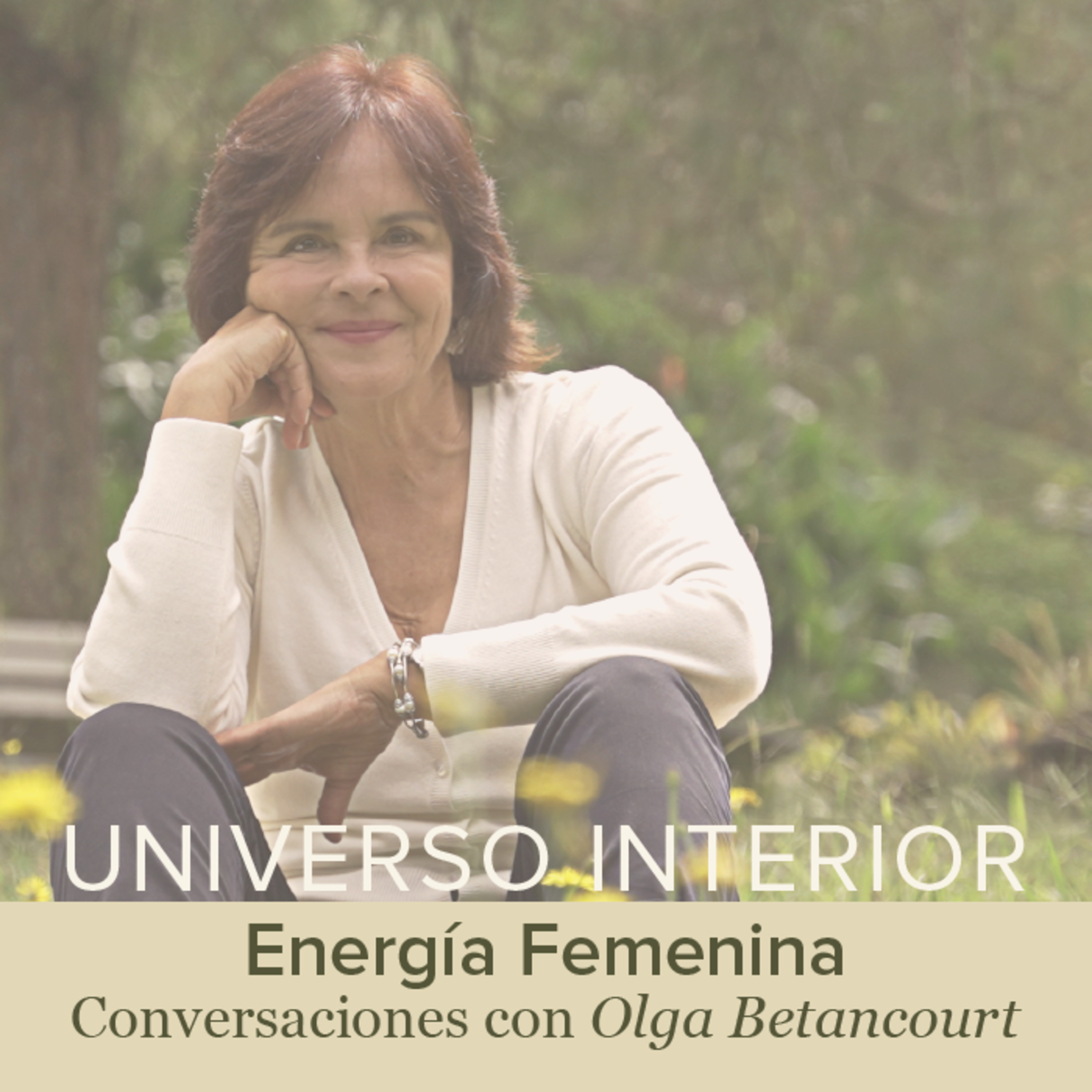 Universo Interior