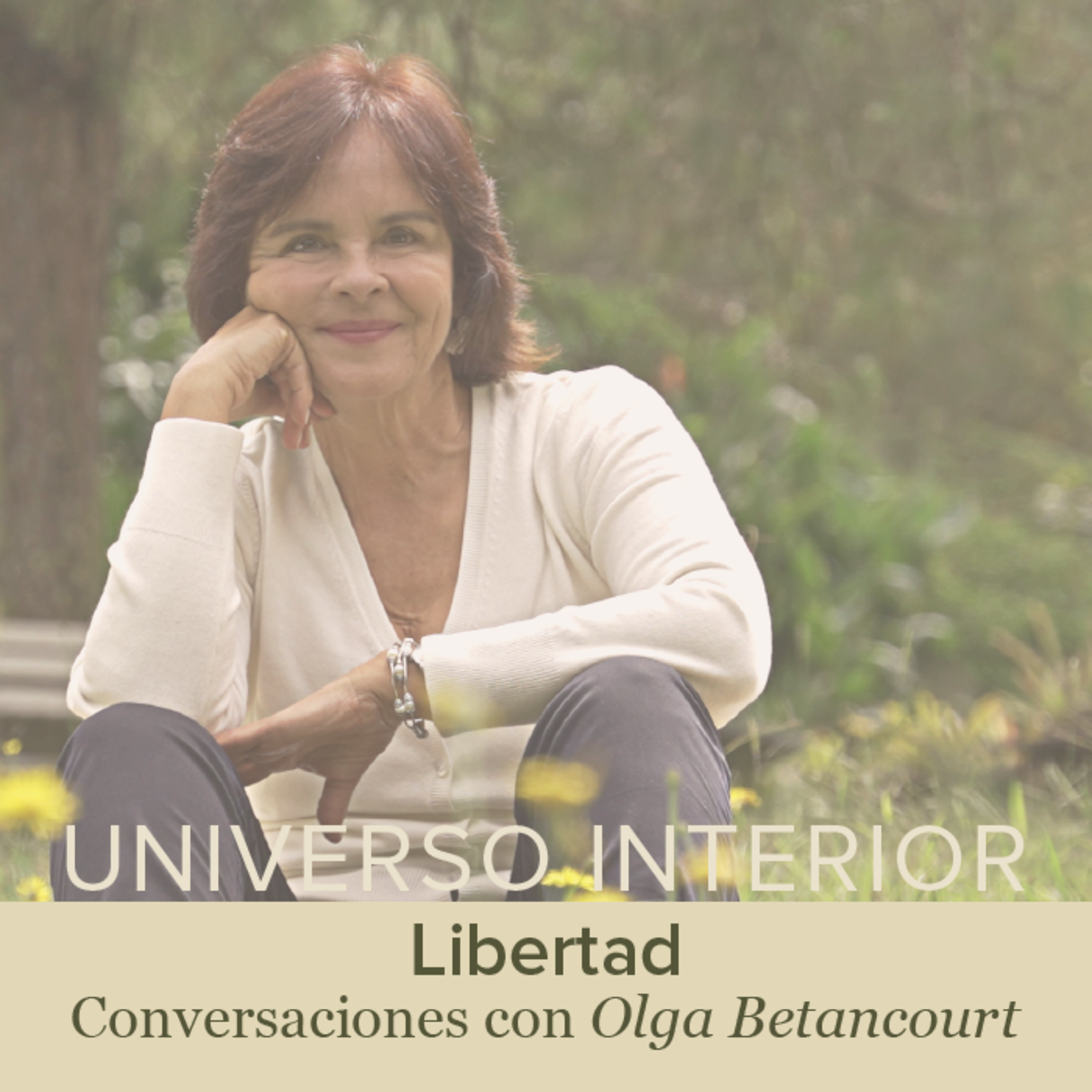 Universo Interior