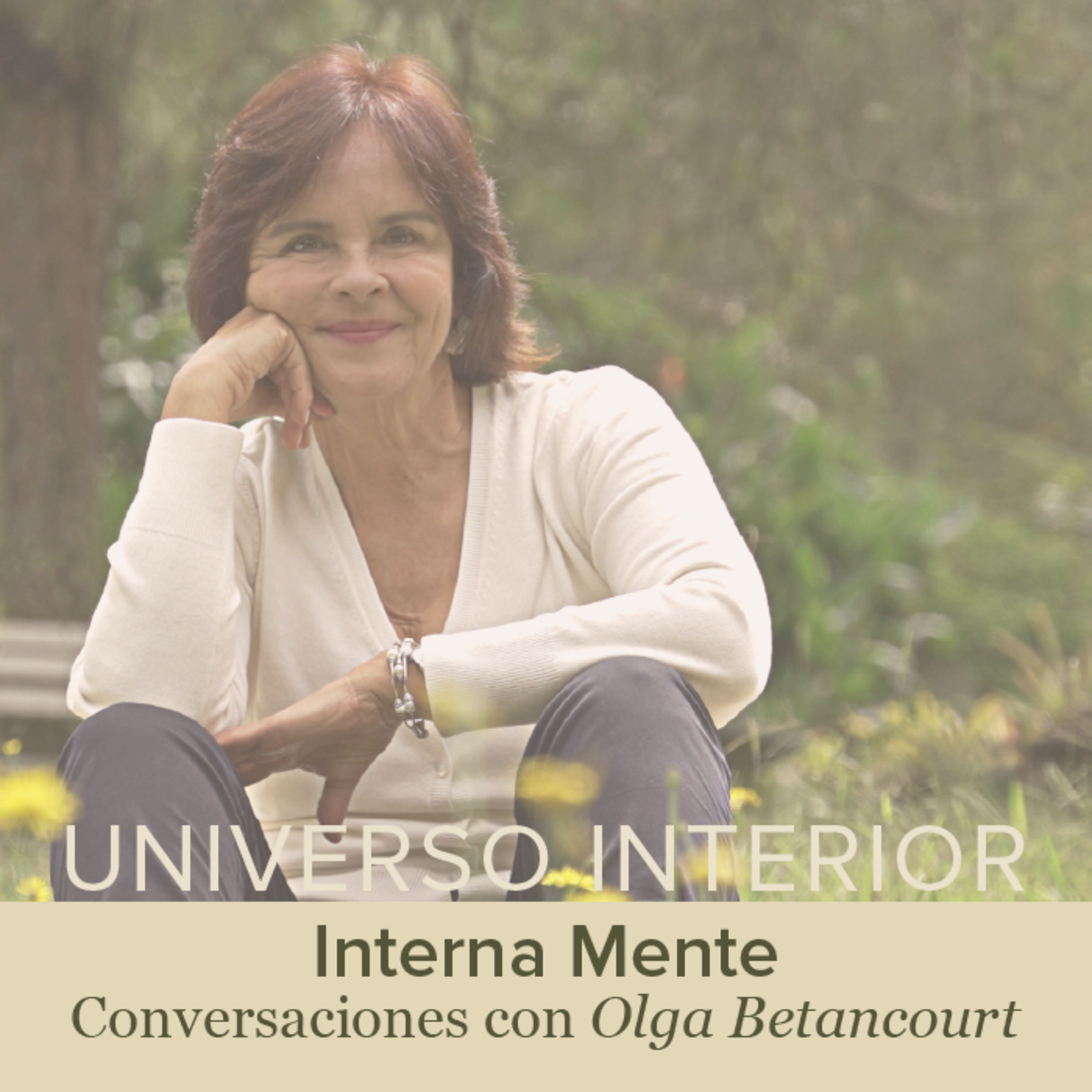 Universo Interior