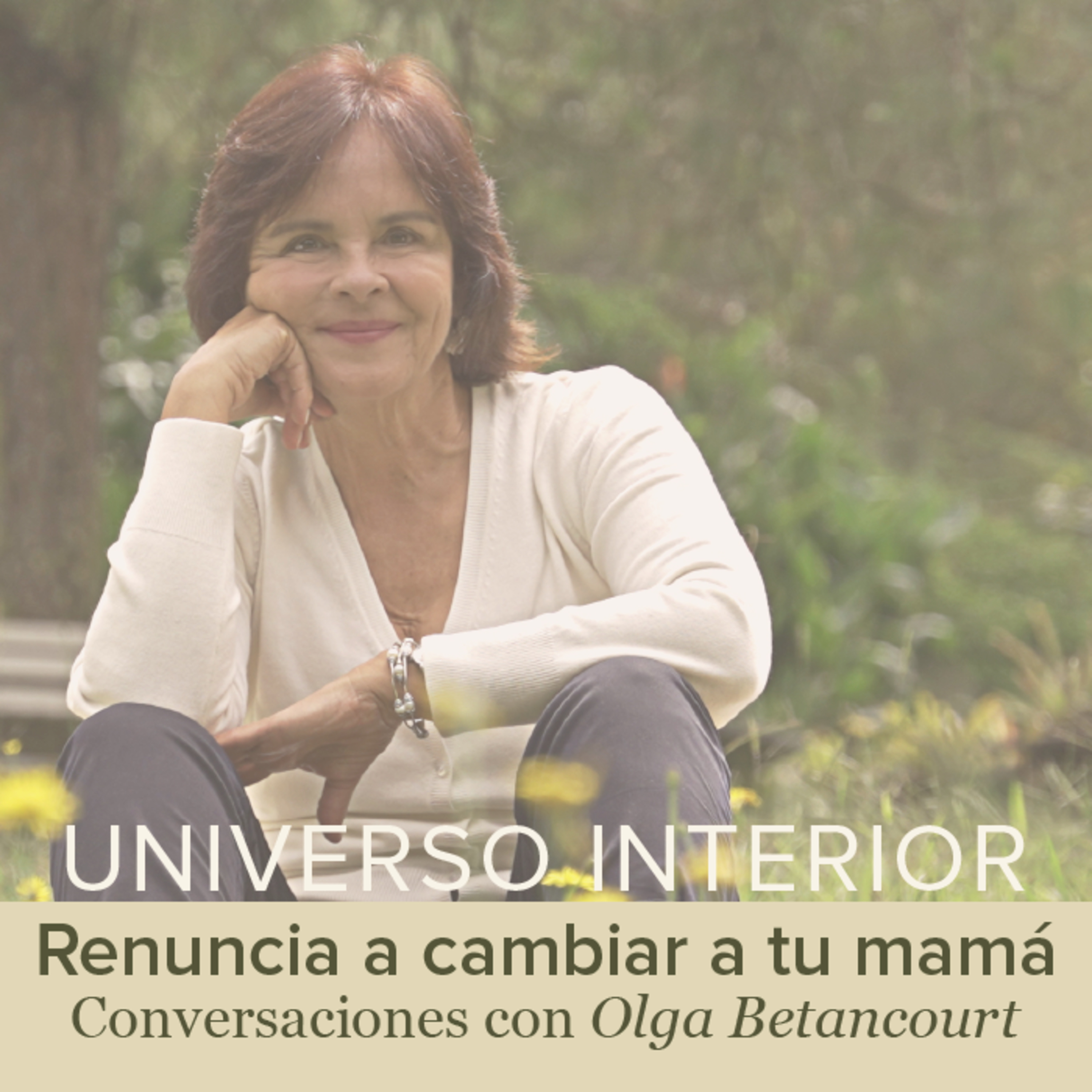 Universo Interior