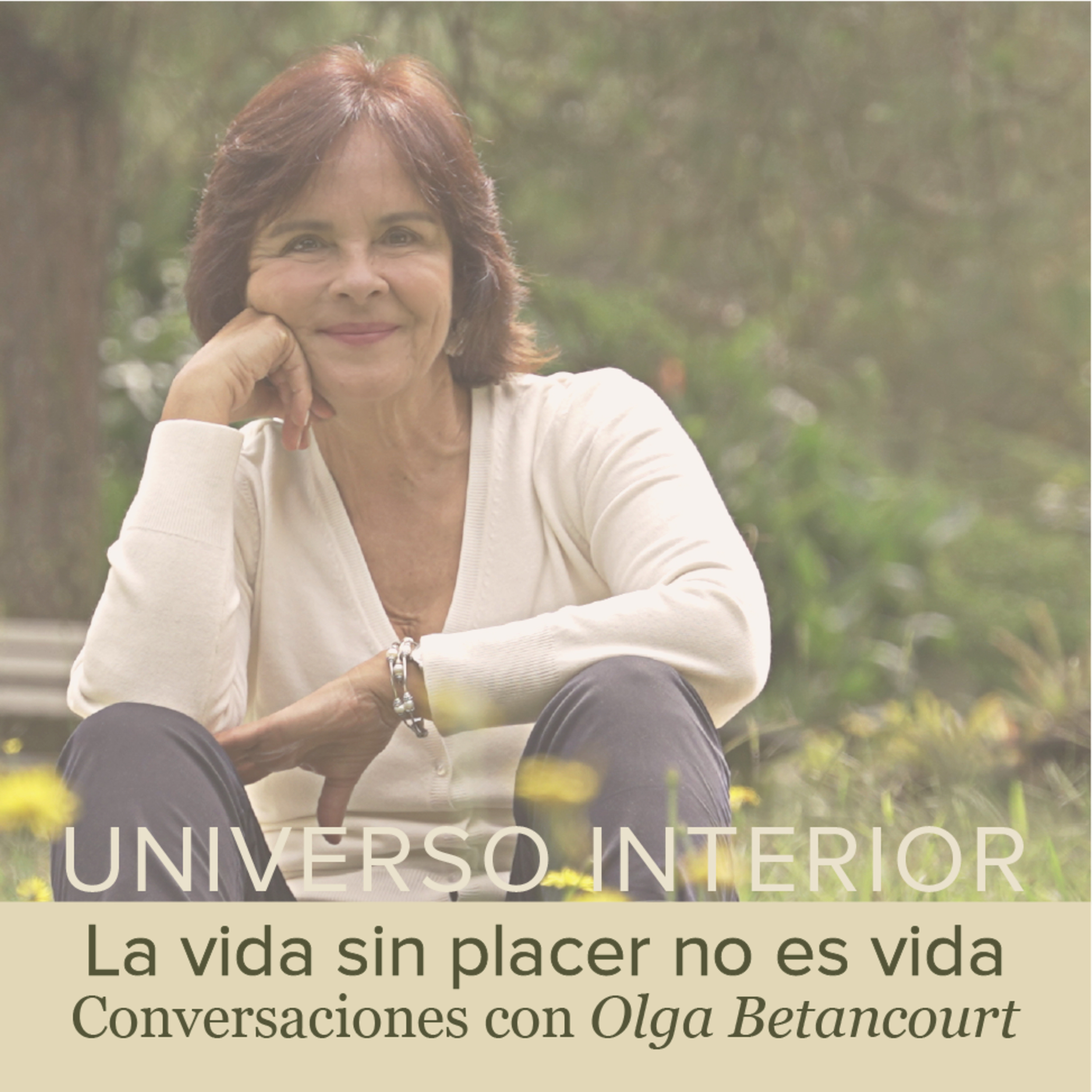 Universo Interior