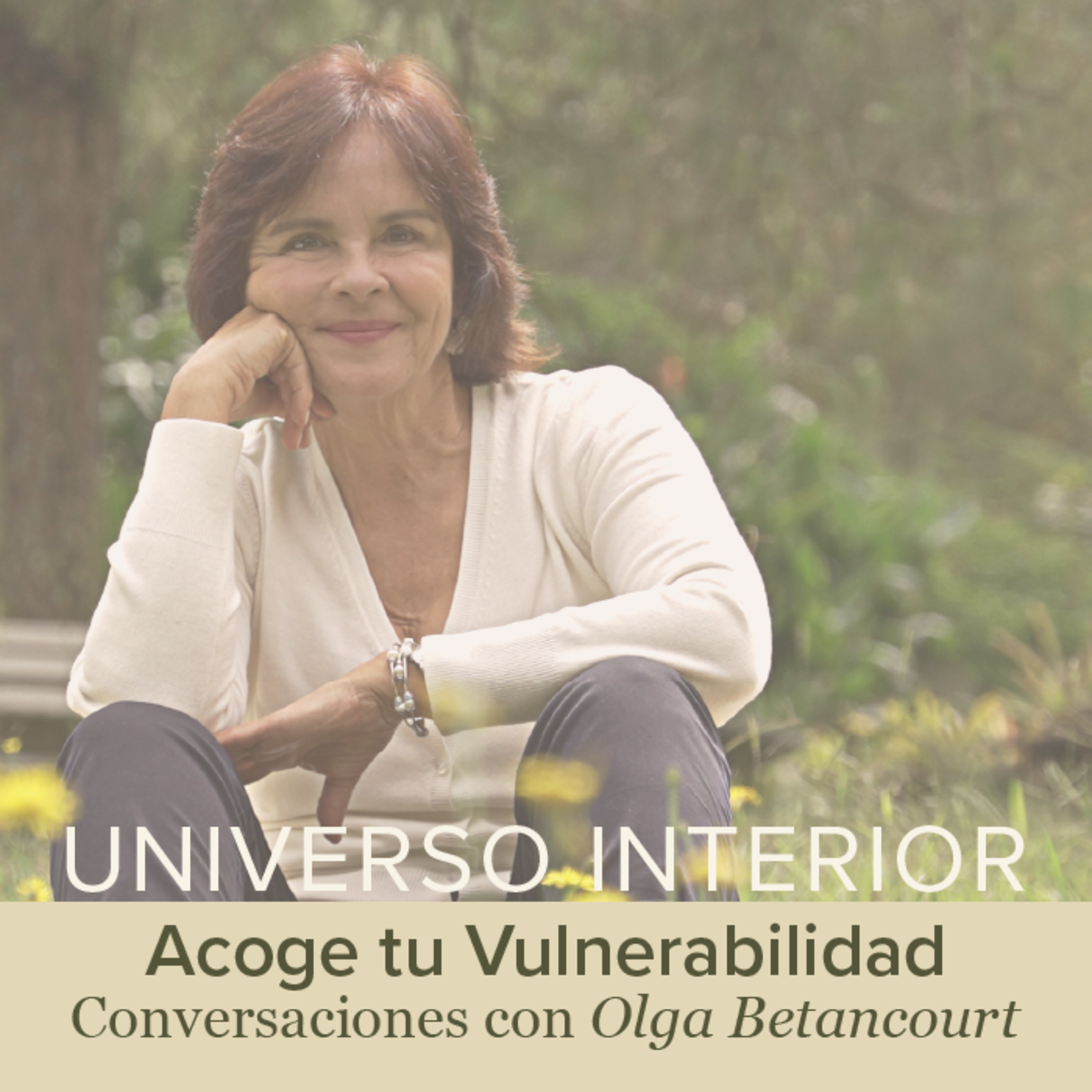 Universo Interior
