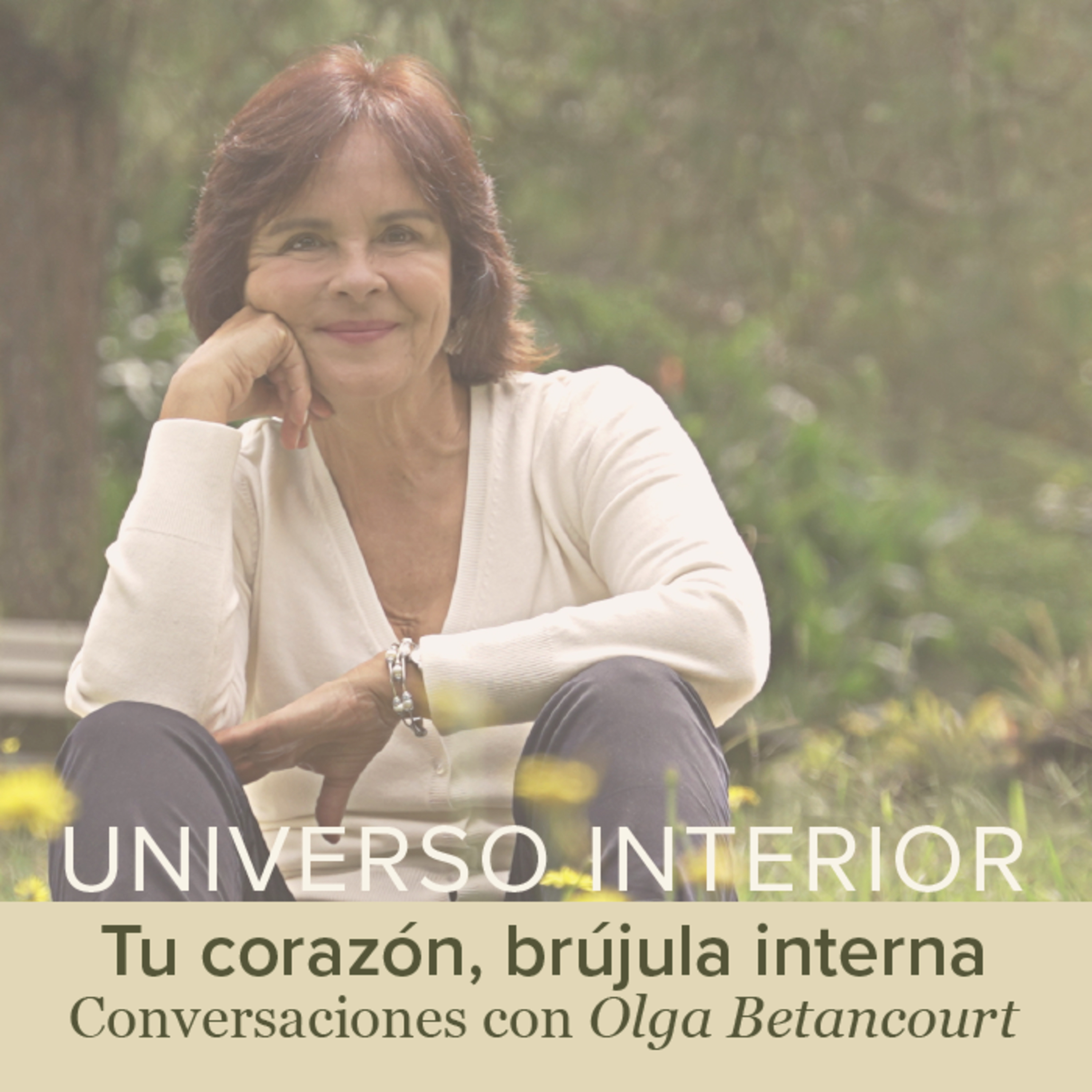 Universo Interior