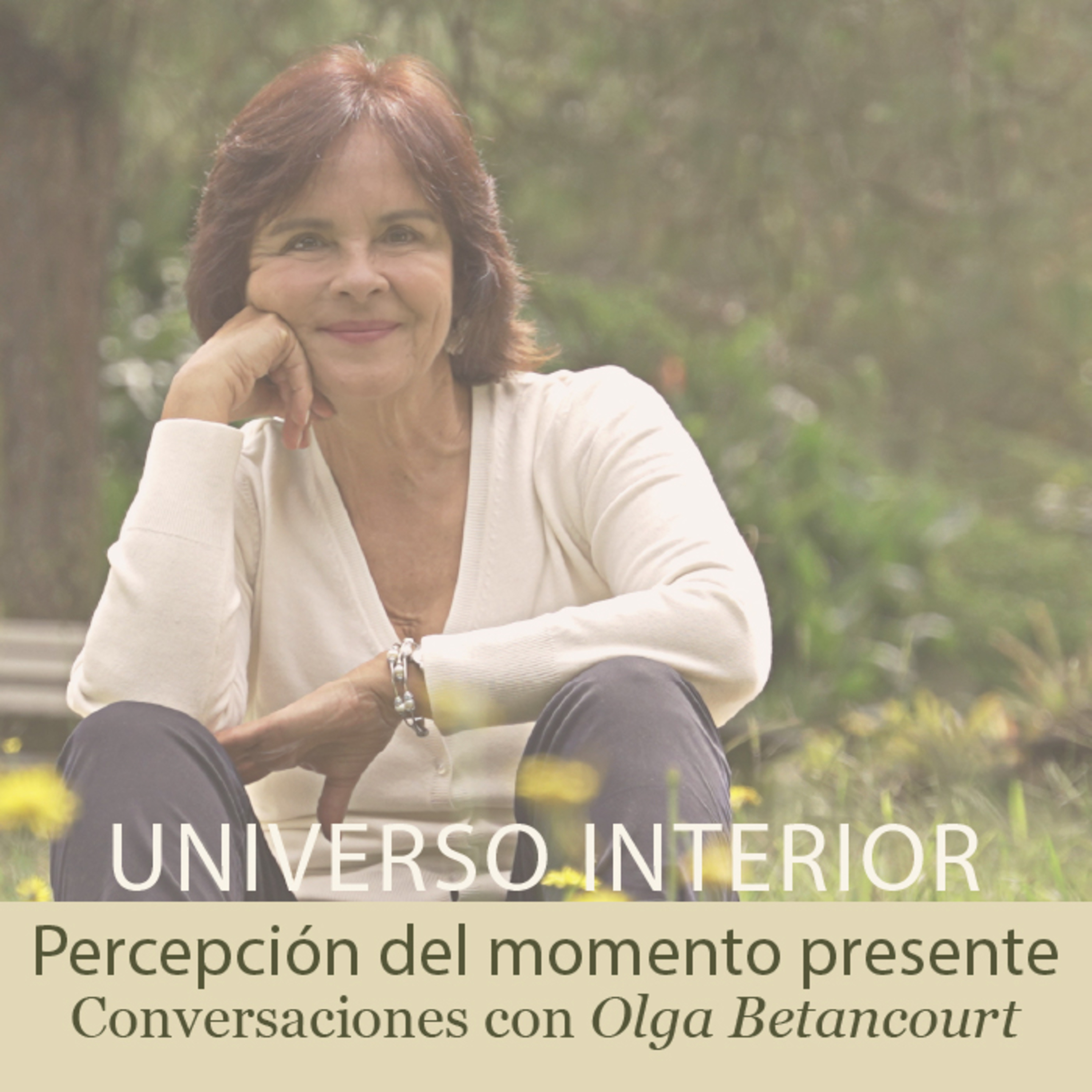 Universo Interior