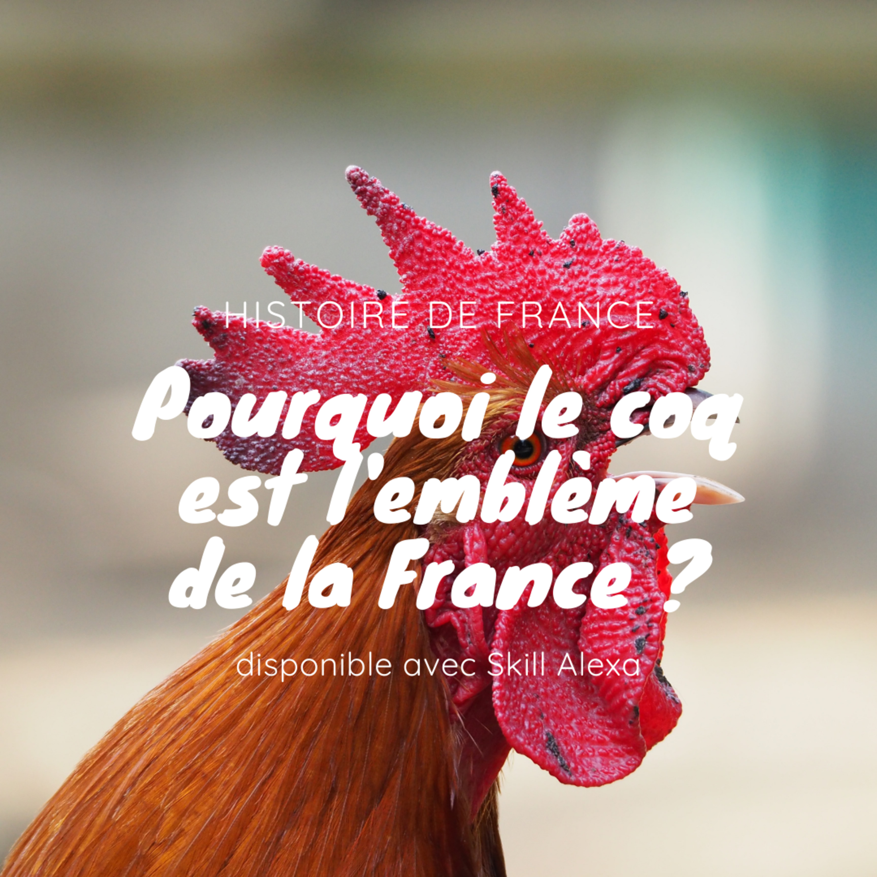 Histoire de France