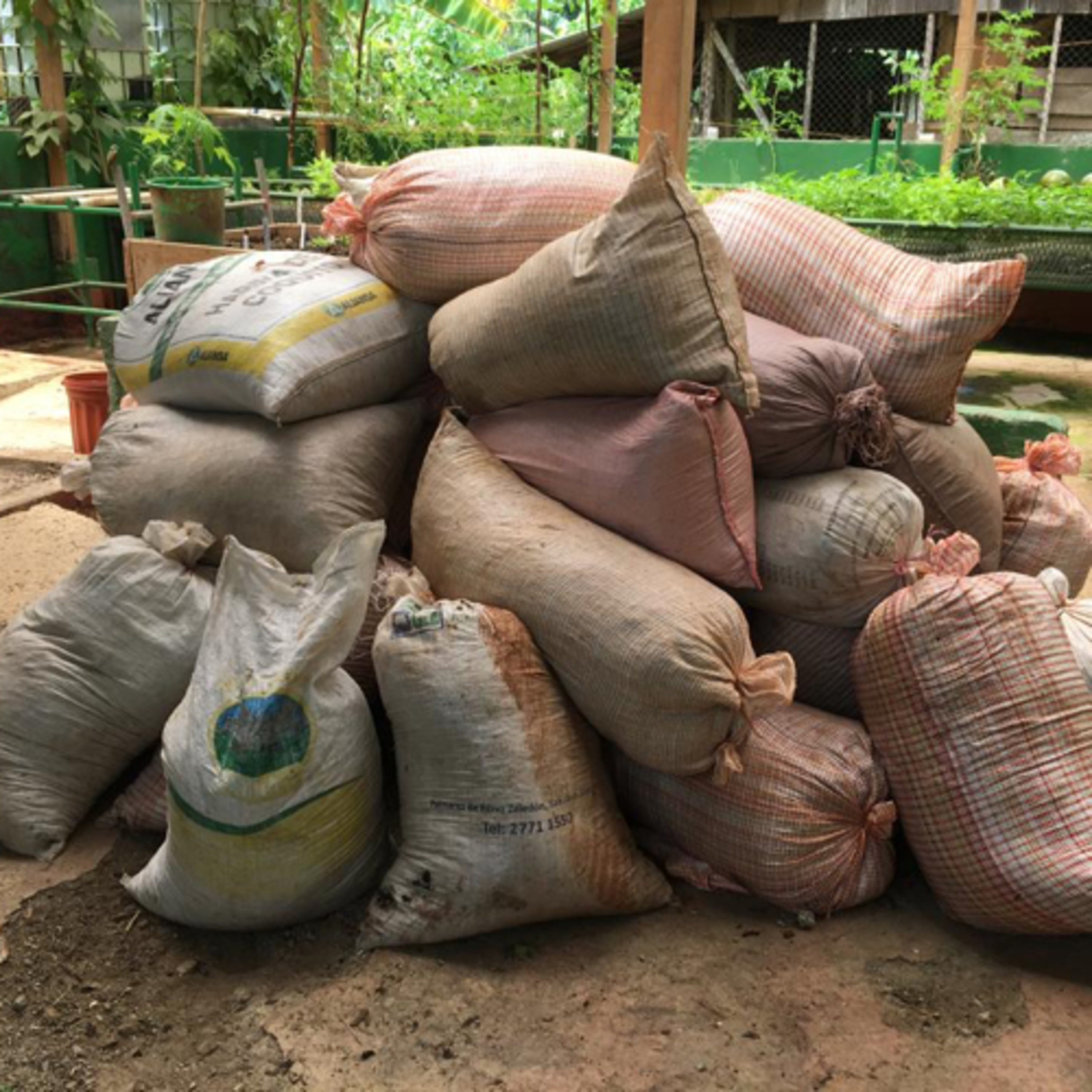 T1:E10. Gracias a Marta Eugenia Quesada Ortiz por enseñarme a leer.