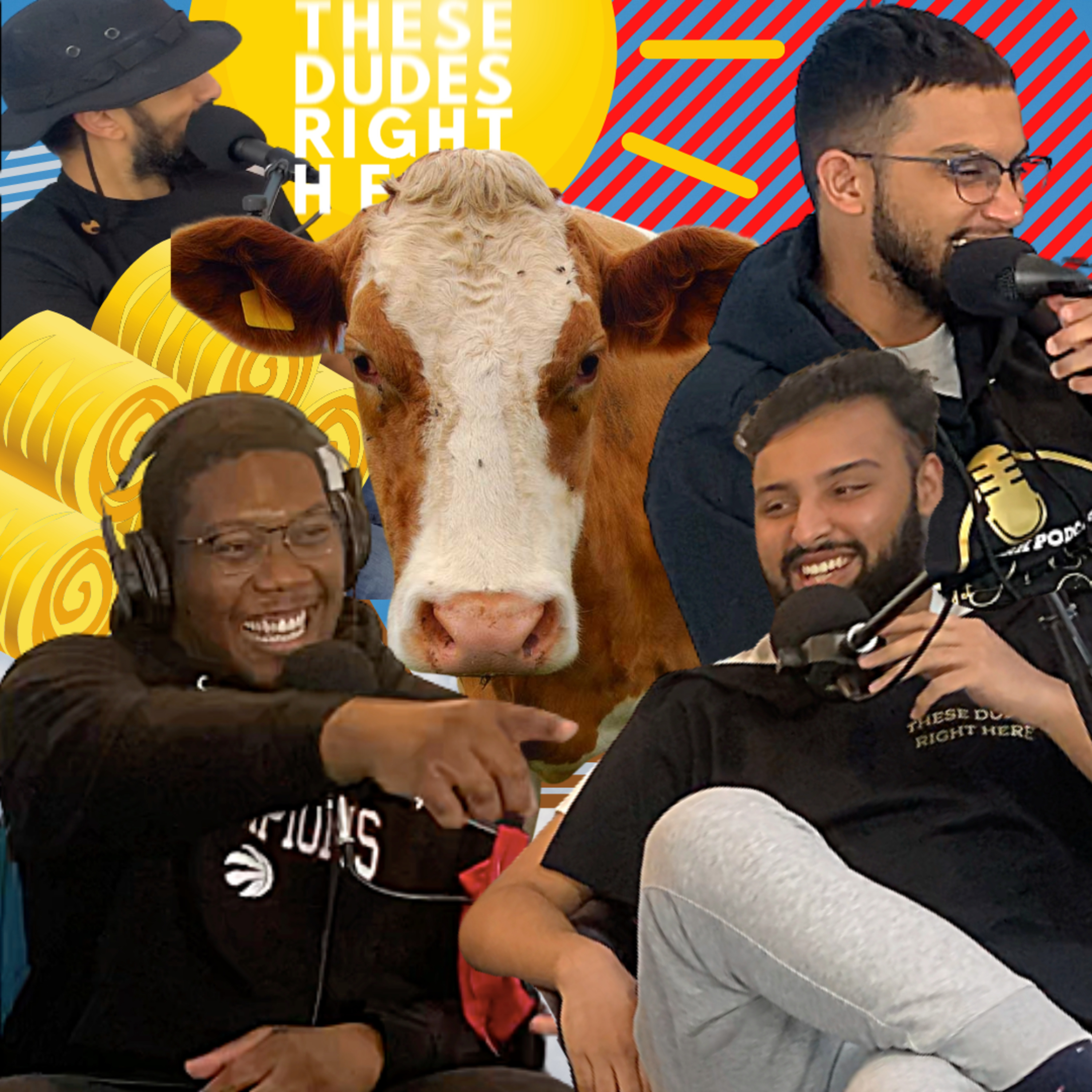 Donald Trump & Killer Cows episode artwork