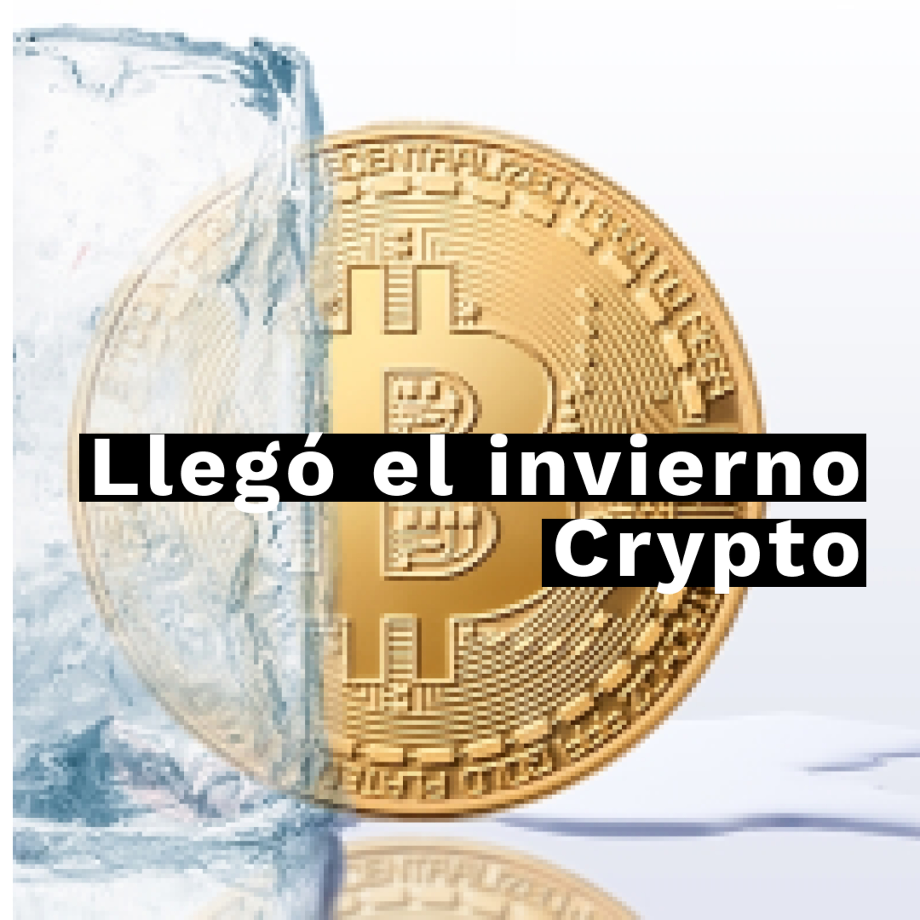 Animales Financieros