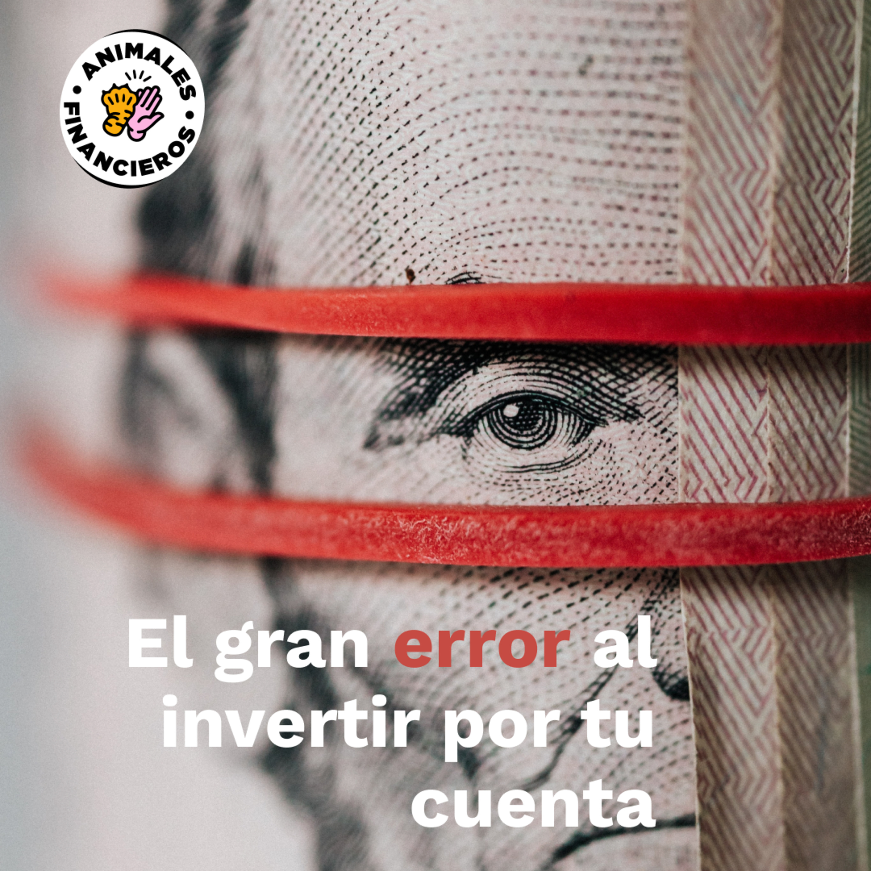 Animales Financieros