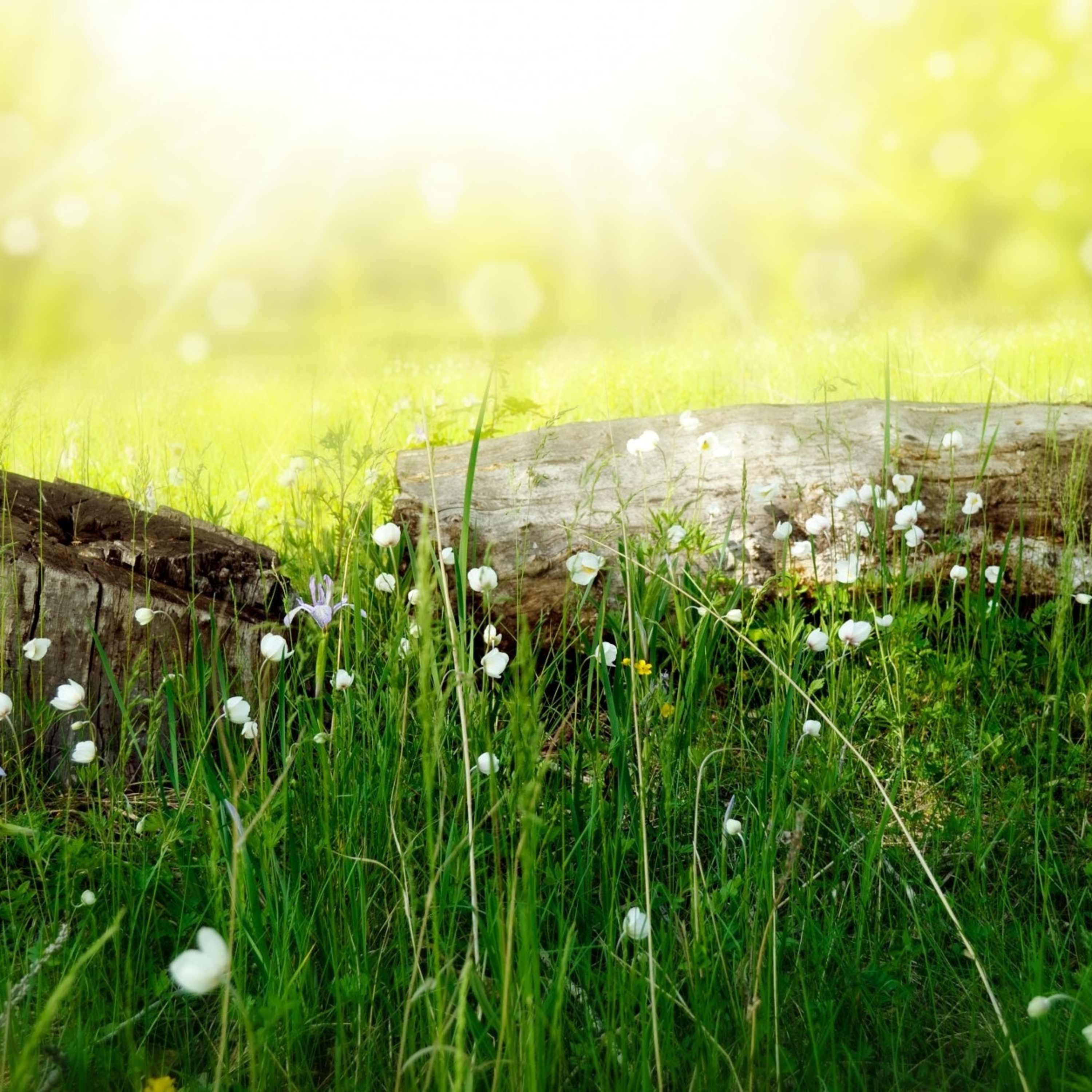 Nejla Ceylan Metin ile Meditasyon