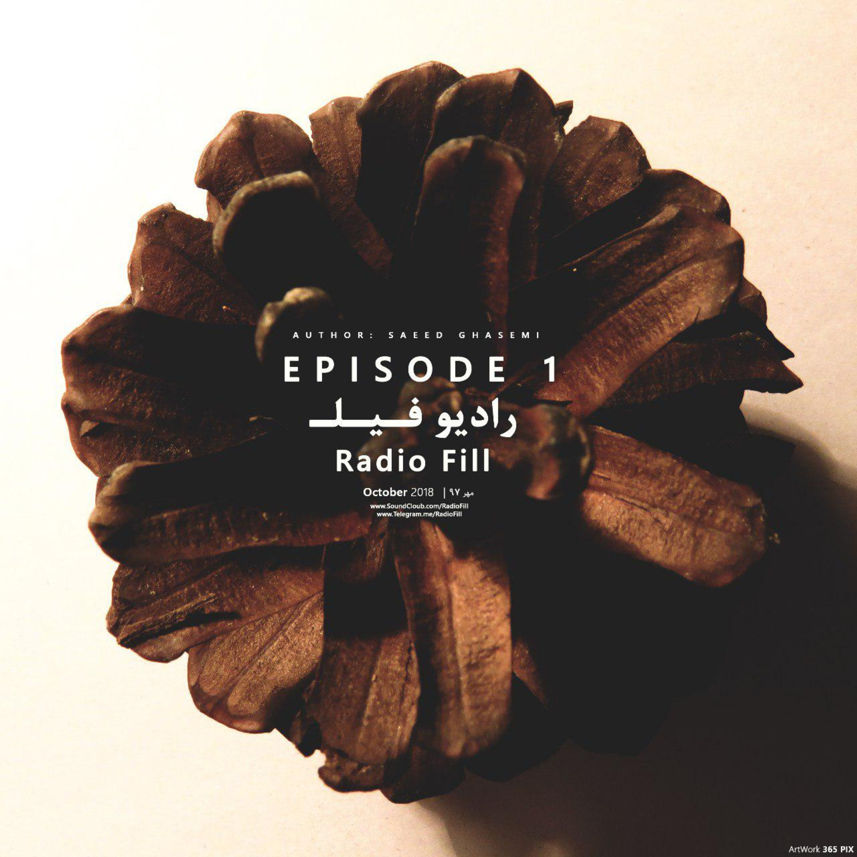 Radio Fill رادیو فـیلـ