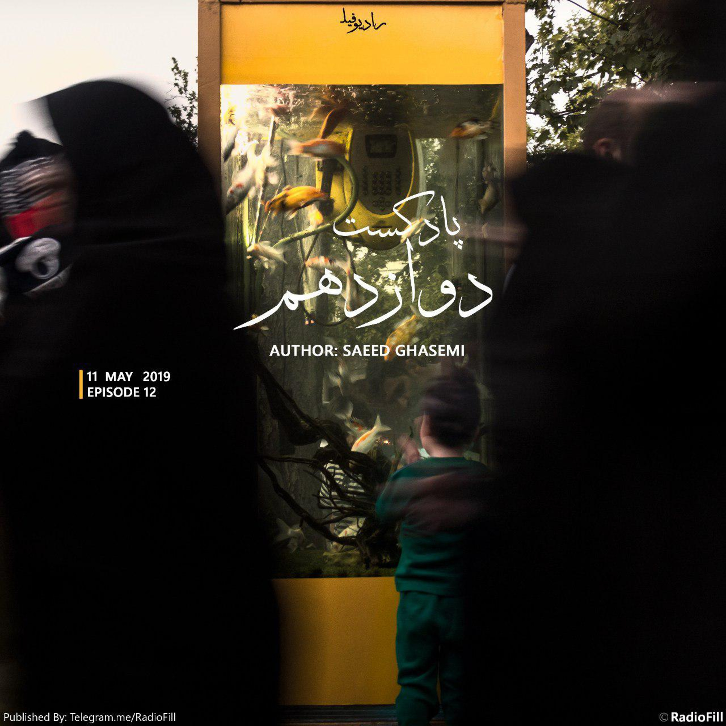 Radio Fill رادیو فـیلـ