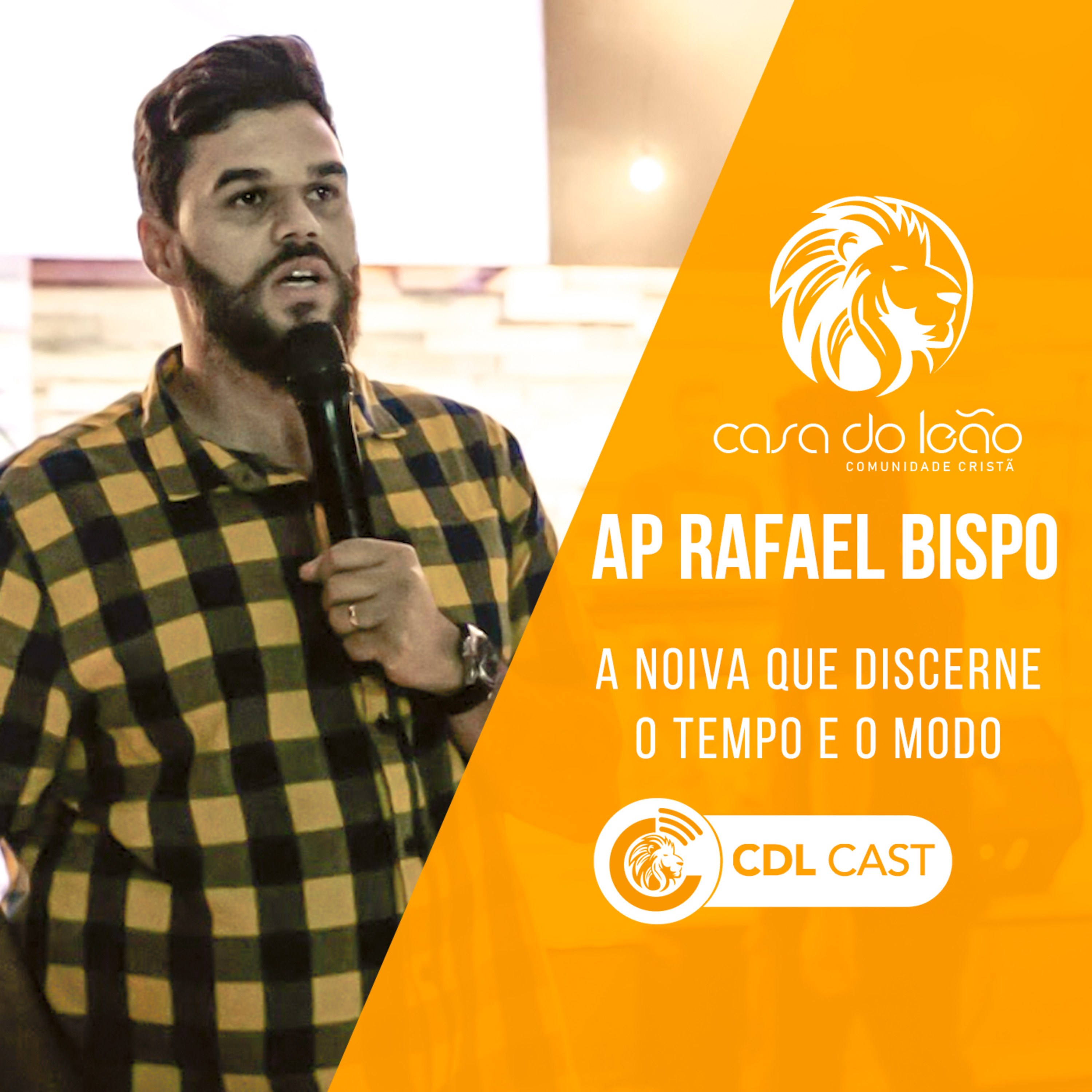 Casa Do Leão