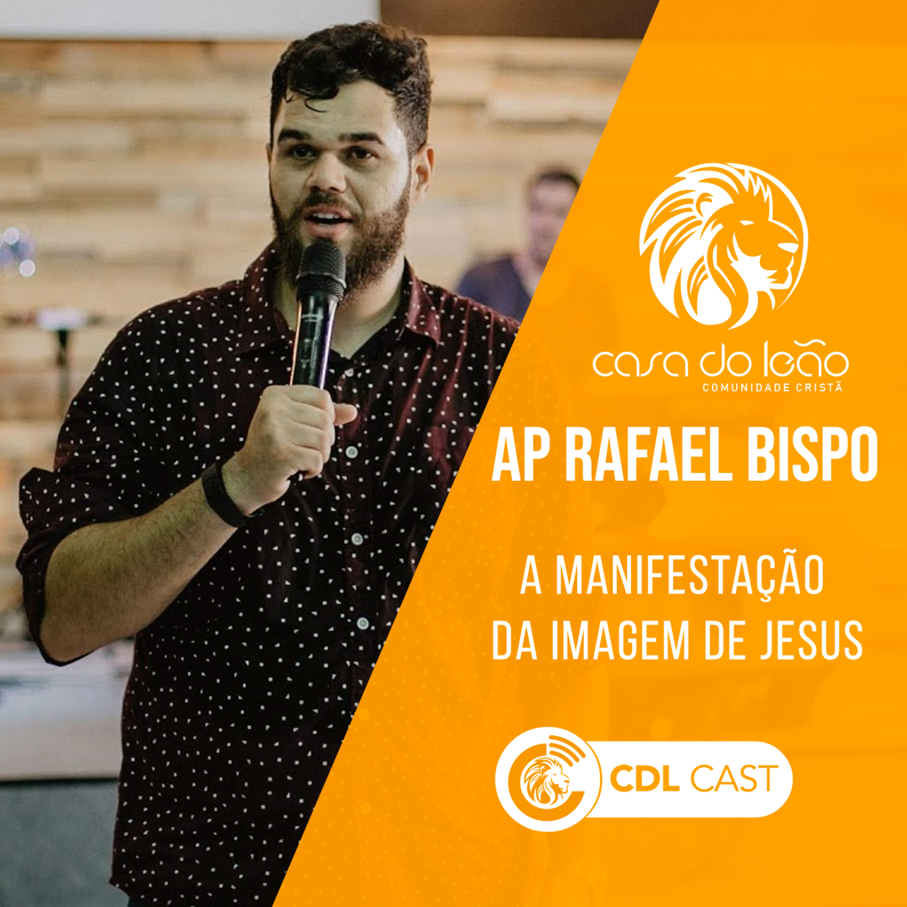 Casa Do Leão