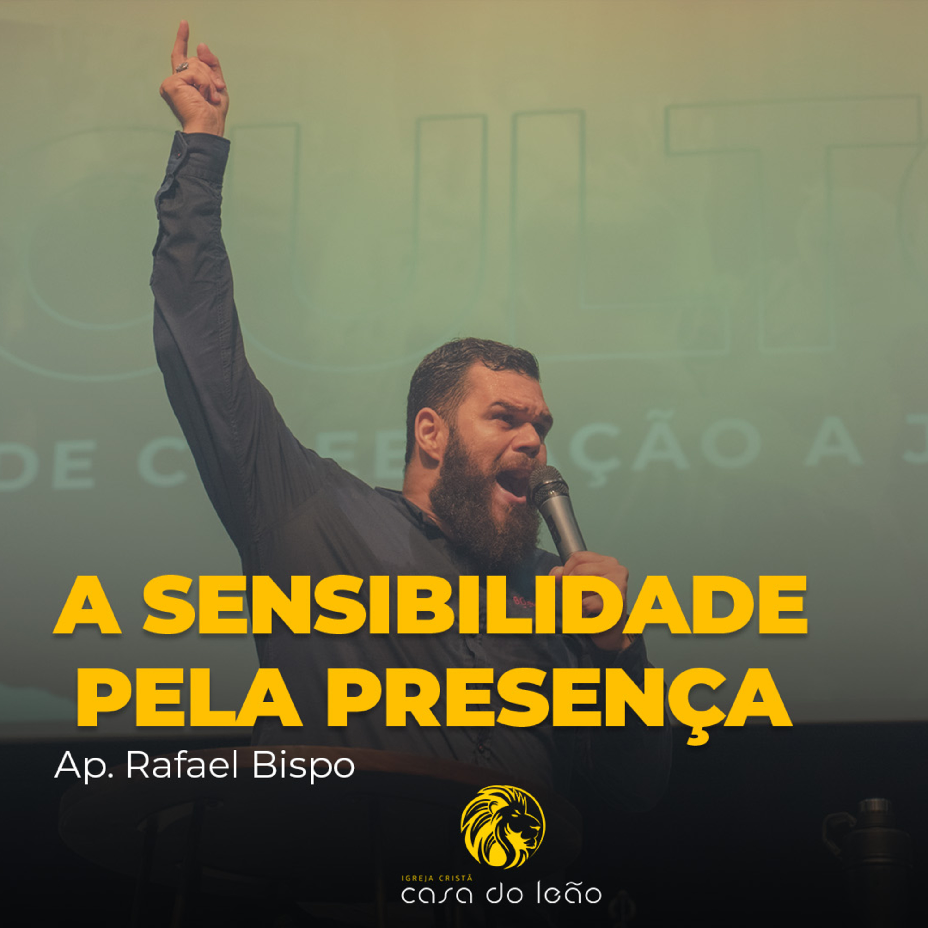 Casa Do Leão