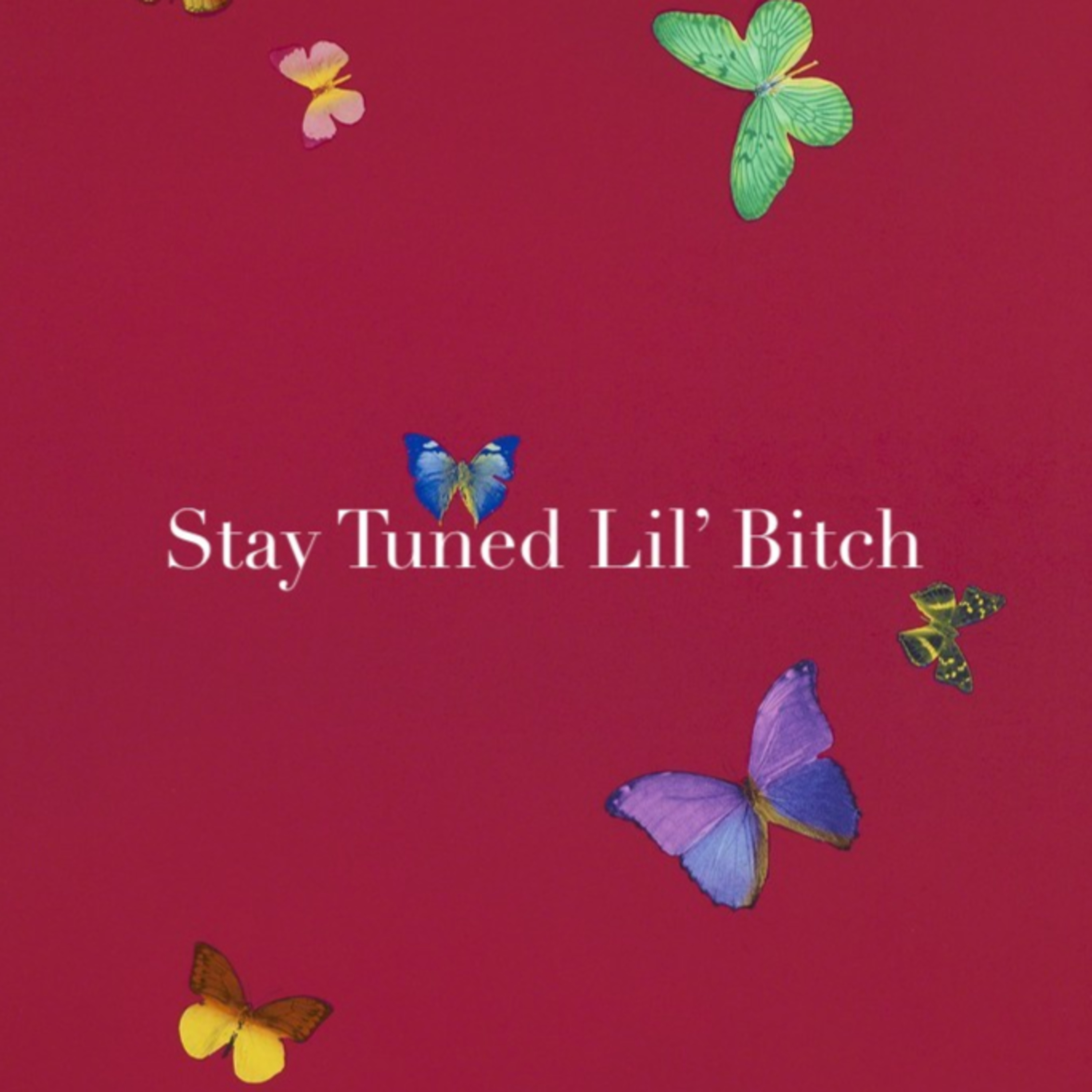 The Stay Tuned Podcast: Onlyfans Stock Boomin' episode artwork