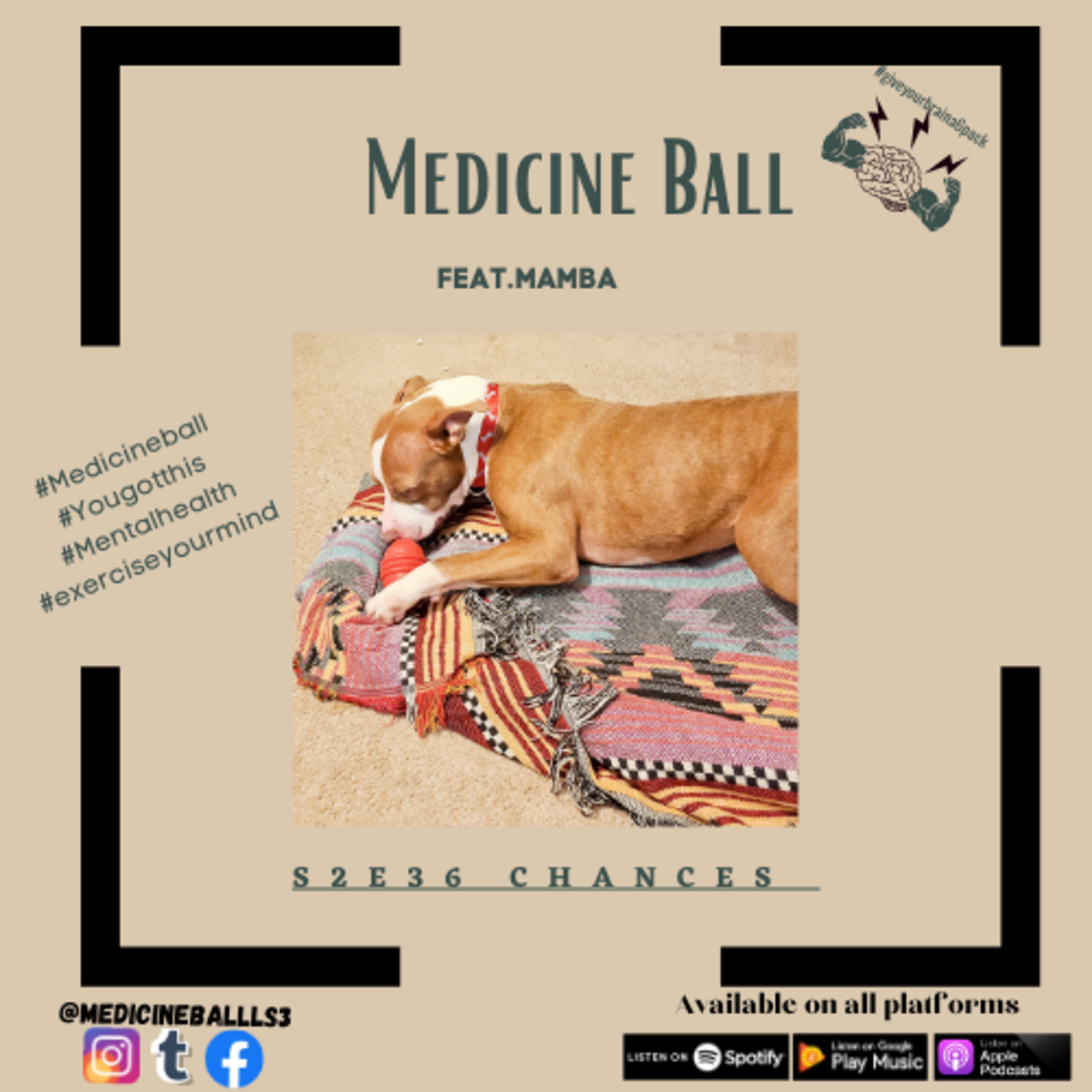 Medicine Ball W/ L.S.3