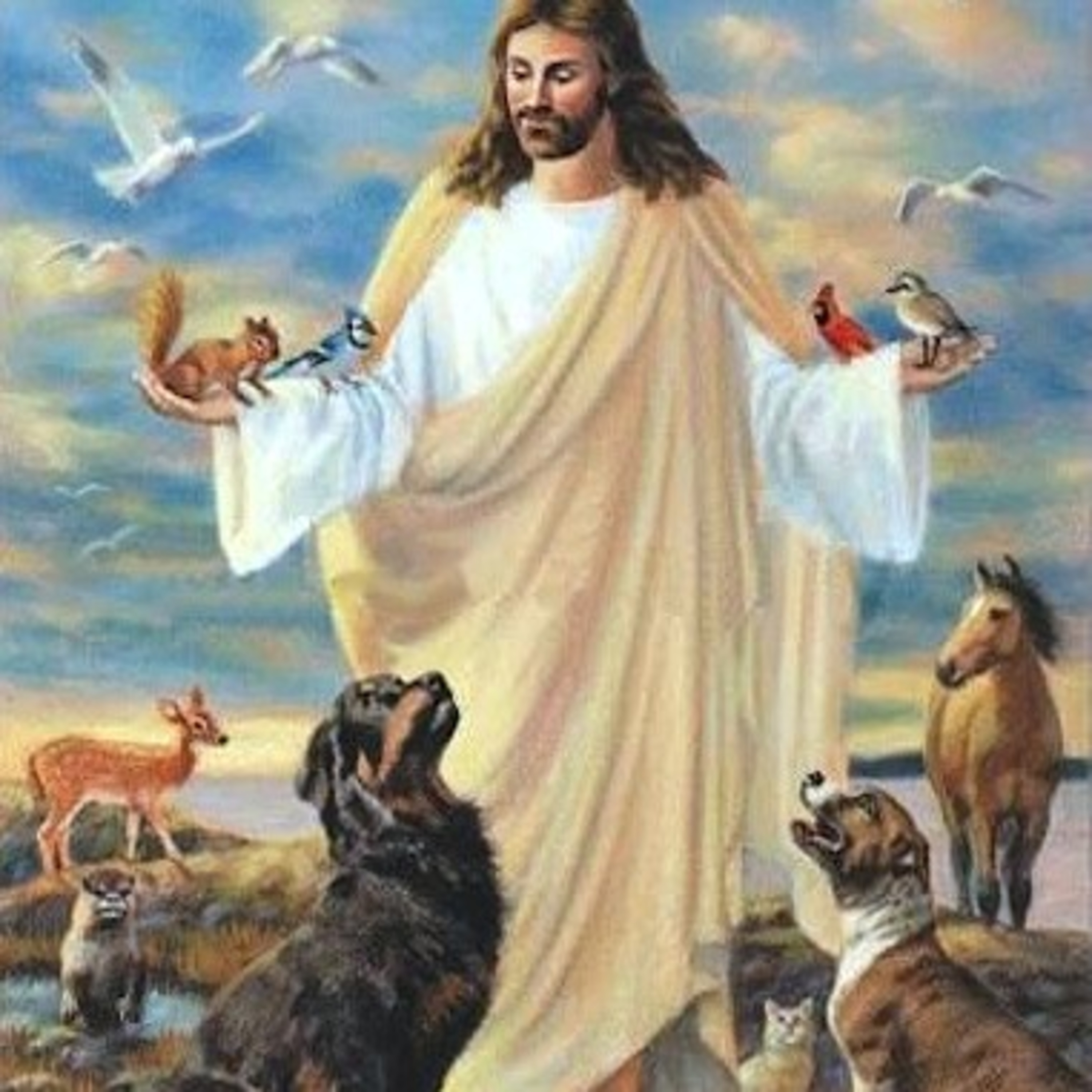 Journeys With Jesus