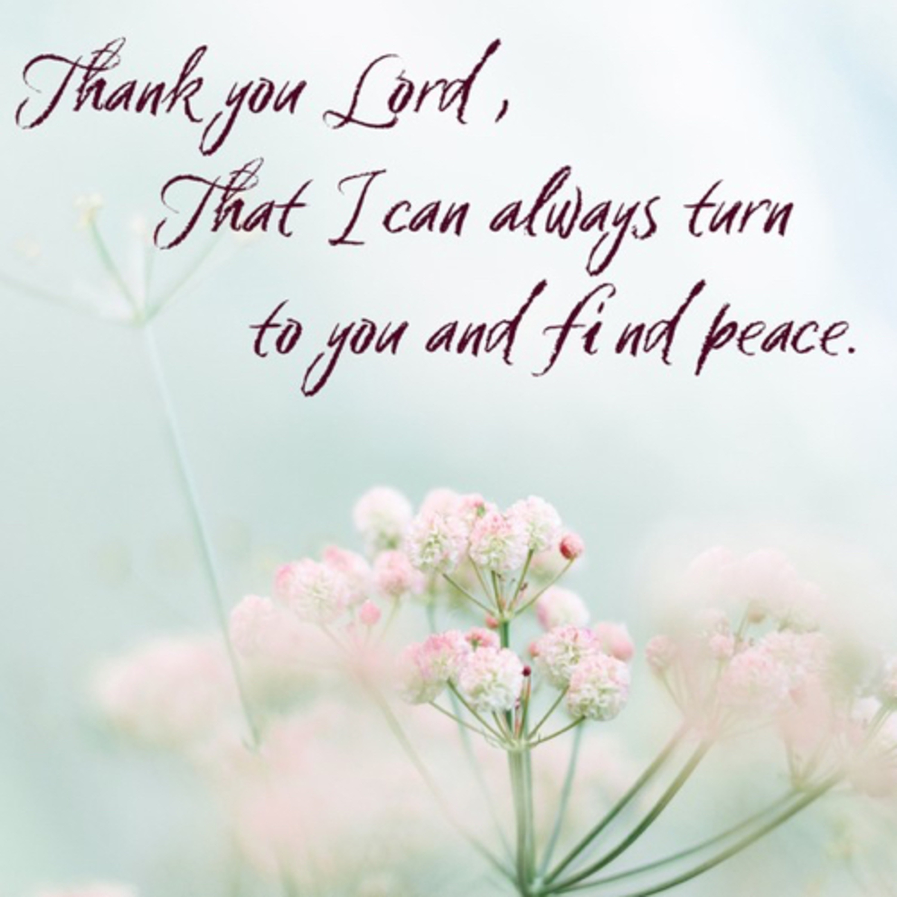 Journeys With Jesus