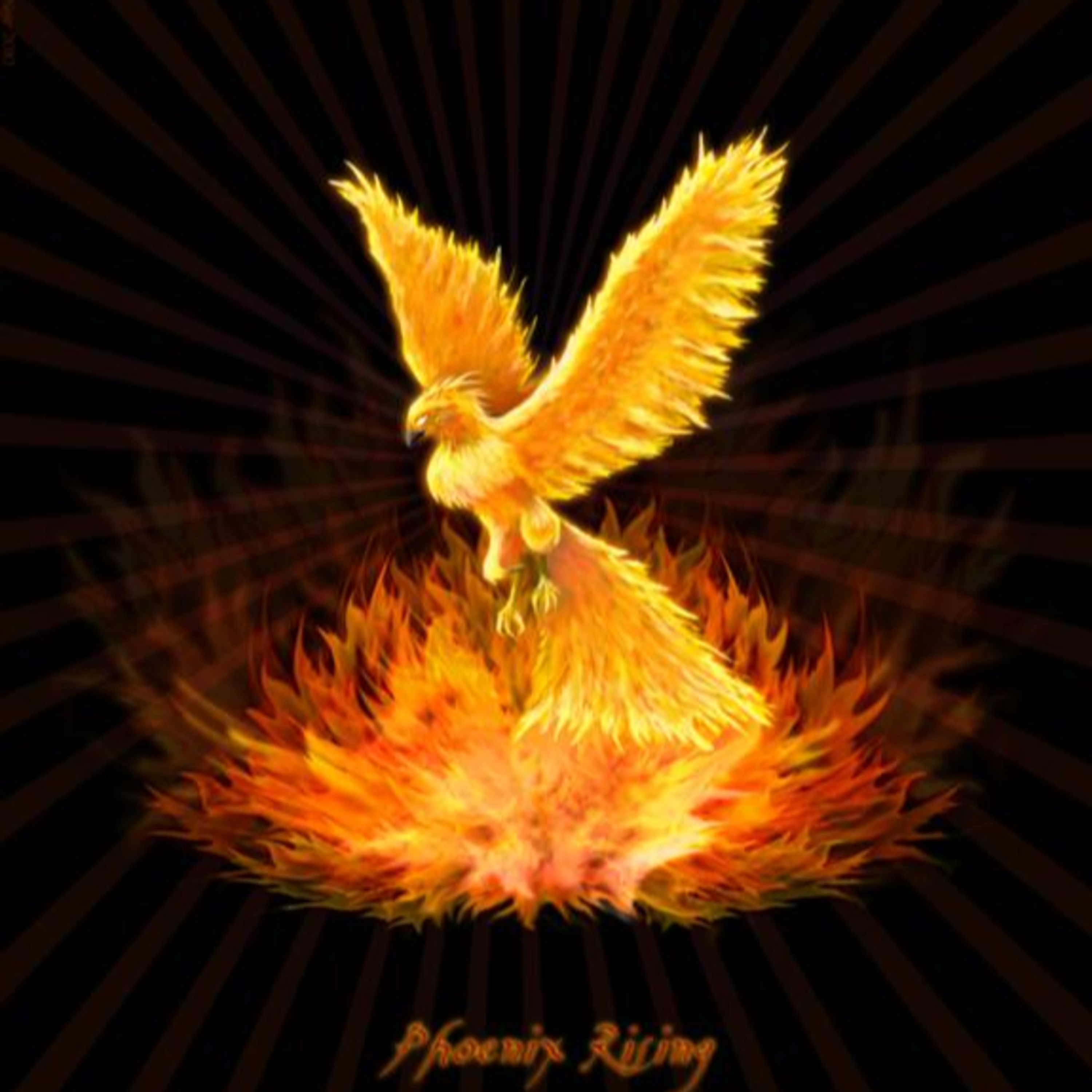 A Phoenix Rising episode artwork