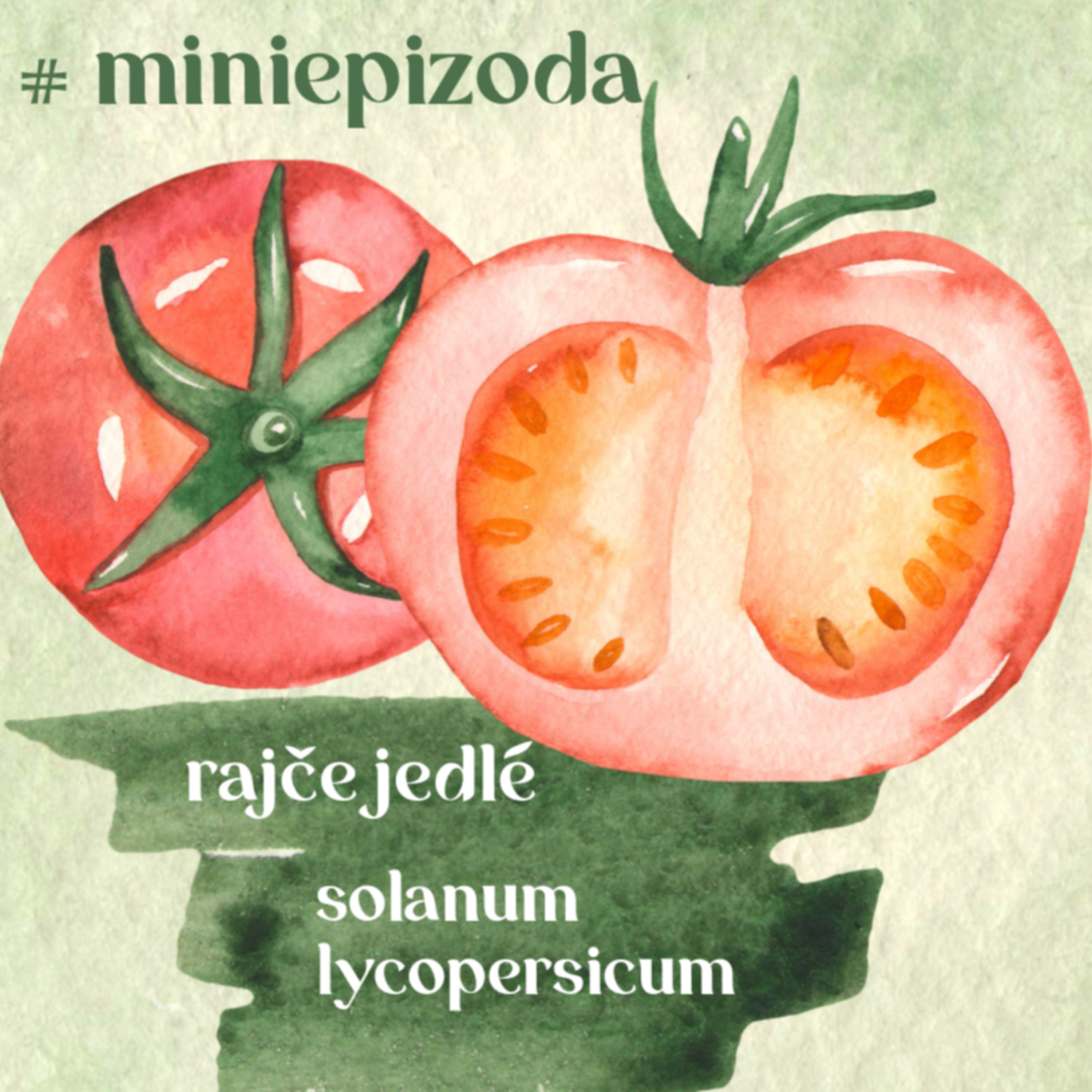 #miniepizoda Rajčata episode artwork