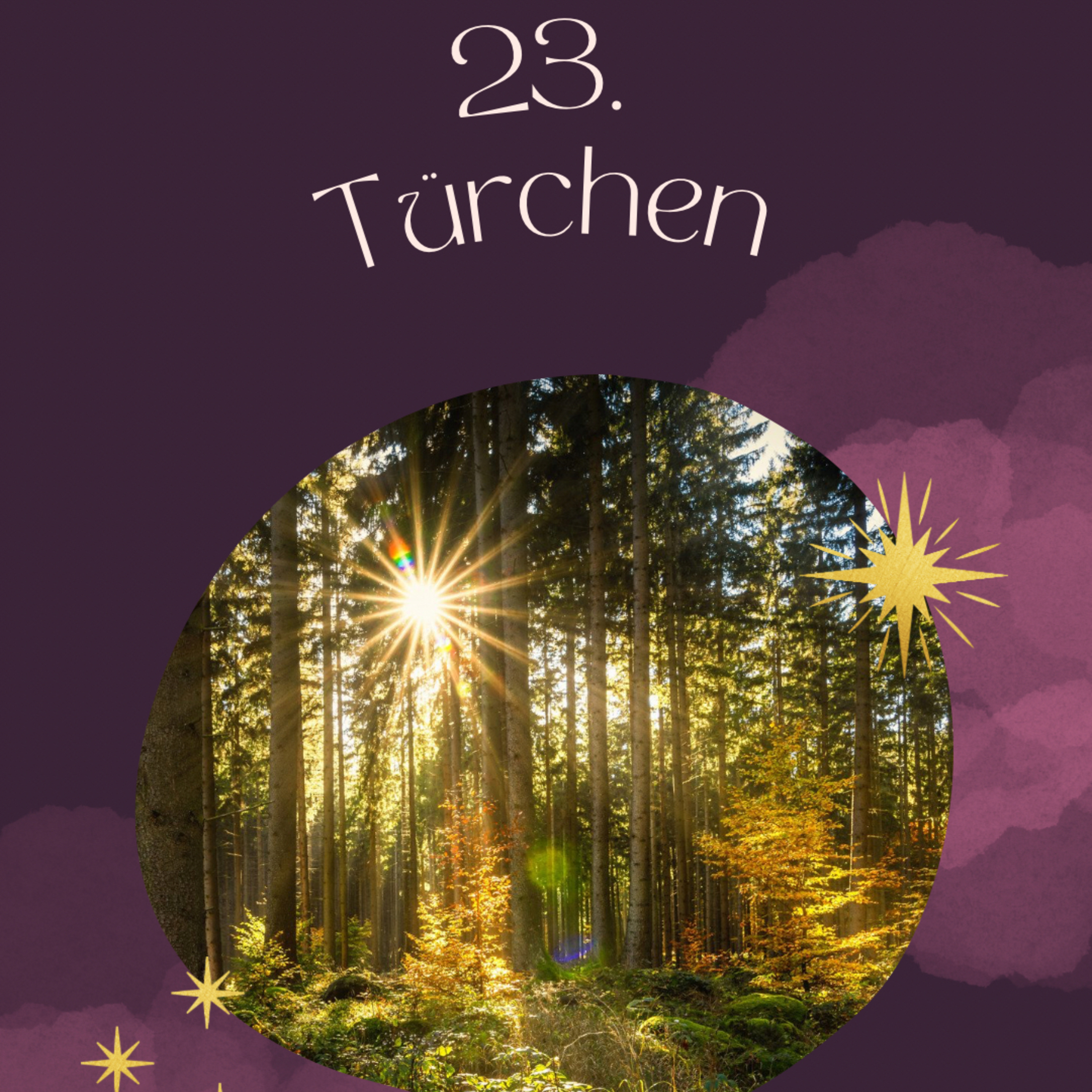 menoChi® Achtsamkeitsmeditationen und Impulse für eine gesunde Mitte
