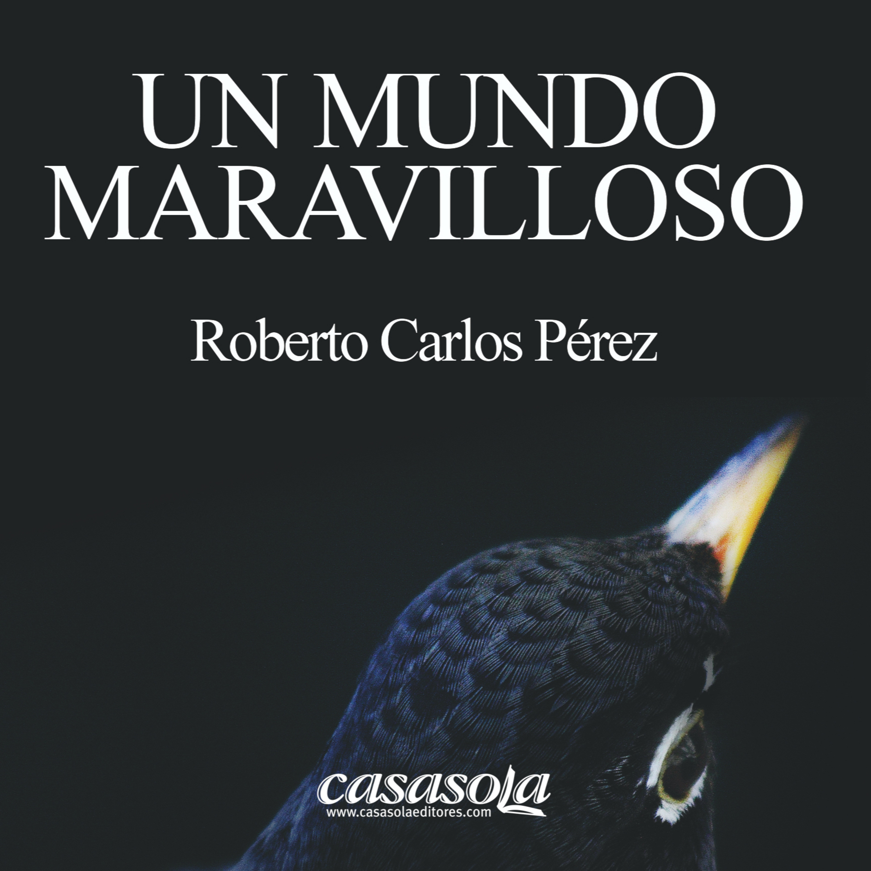 Cartas de la diáspora