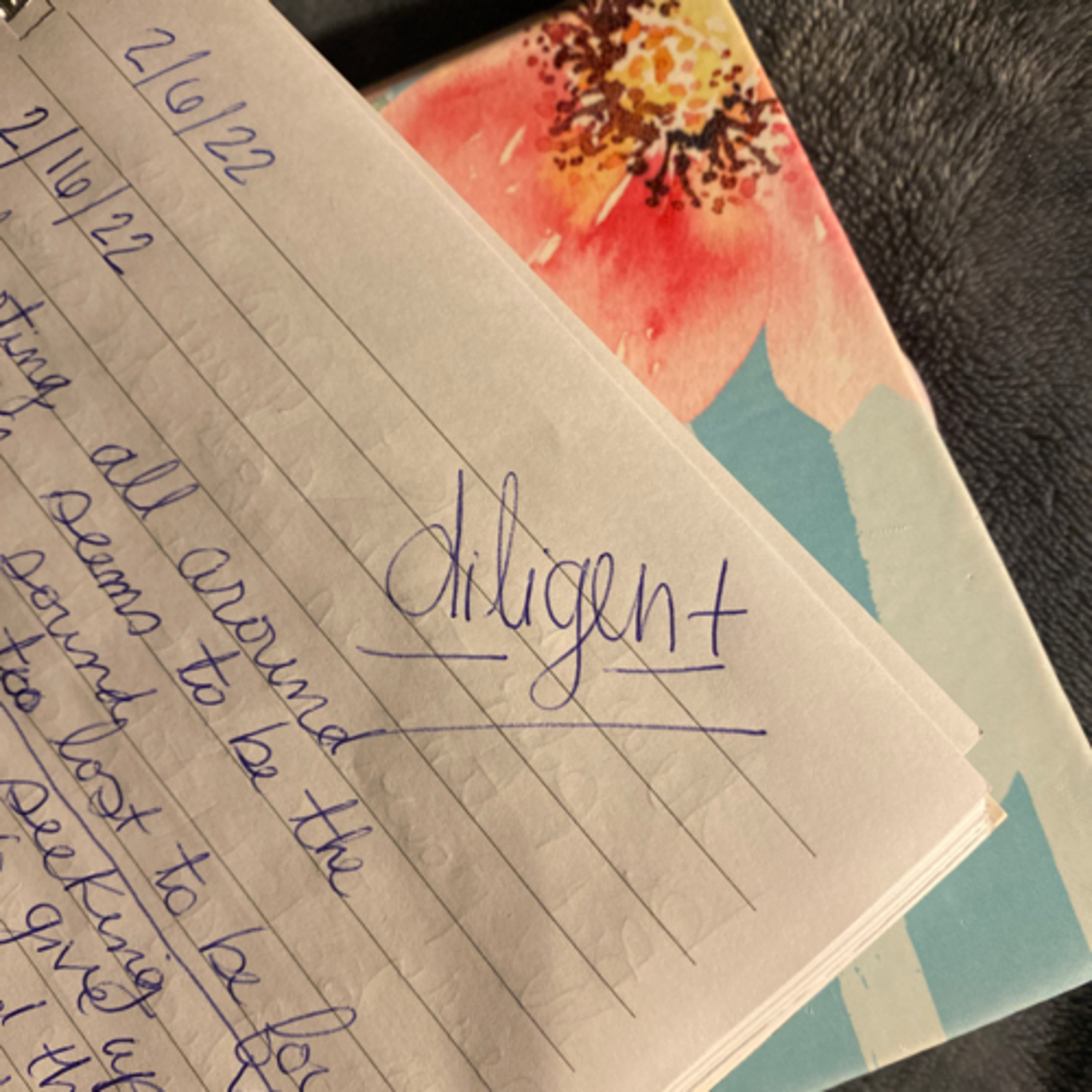 Diligent - Diary Date: 2/16/22 episode artwork