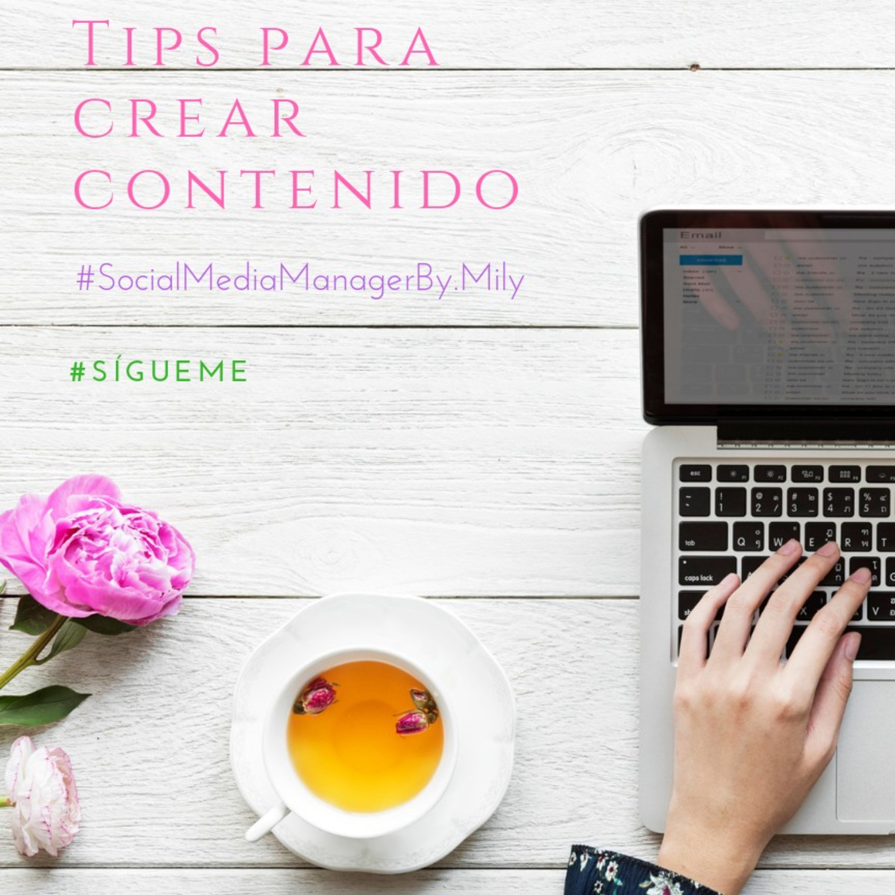 Mily Social Media Manager