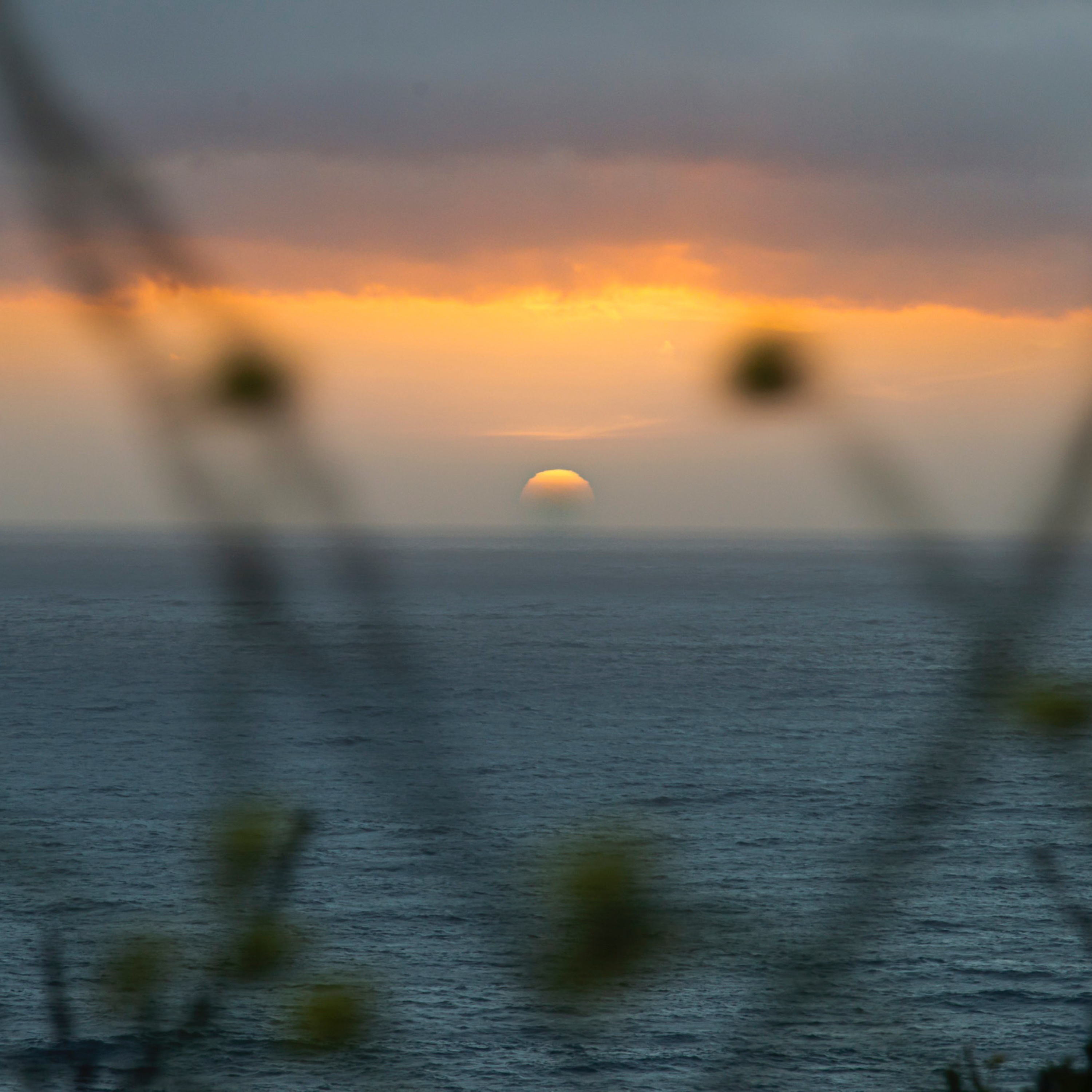 The Motivational Savage Podcast