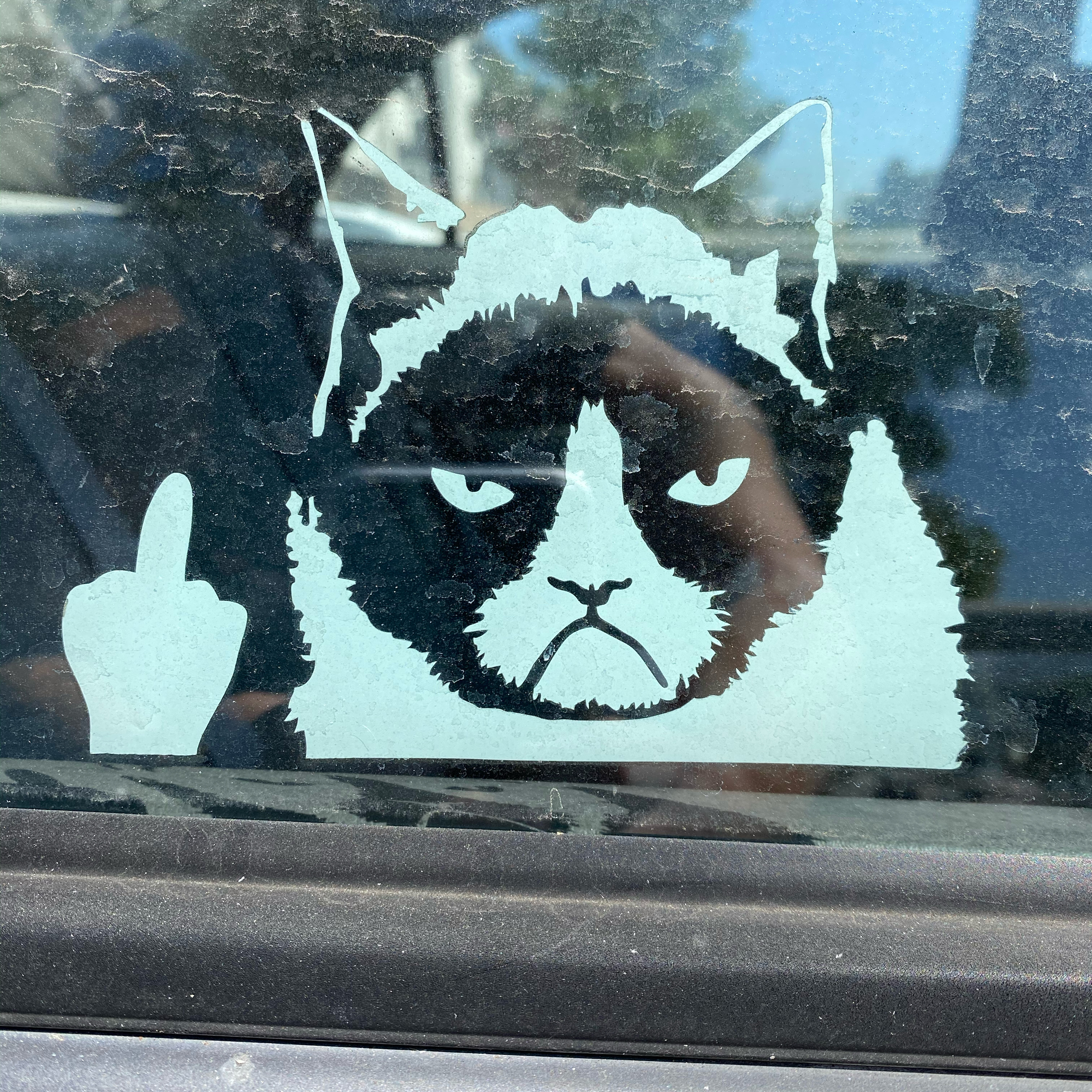 The Motivational Savage Podcast