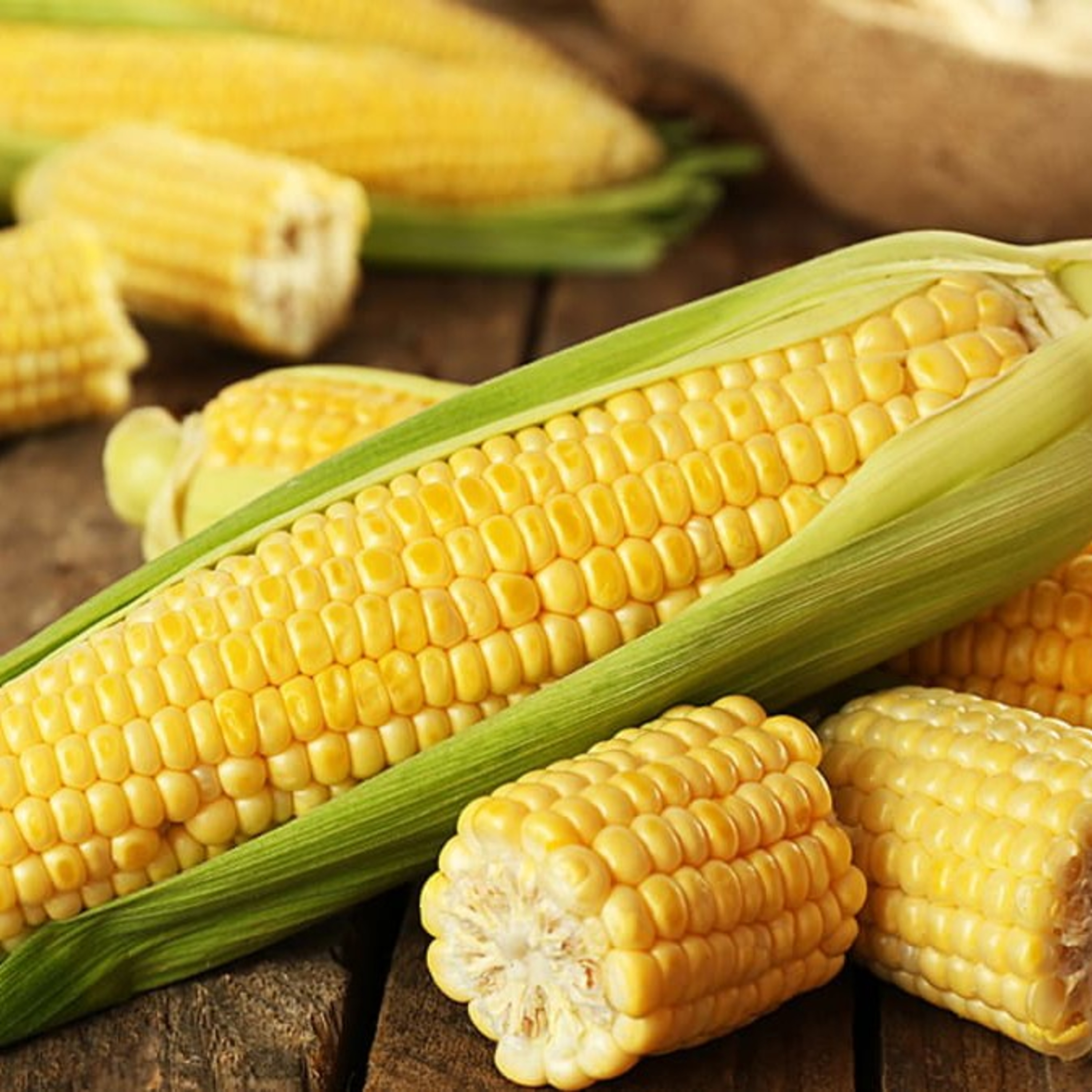 רכב על תירס 🌽 - פרשת ויצא episode artwork