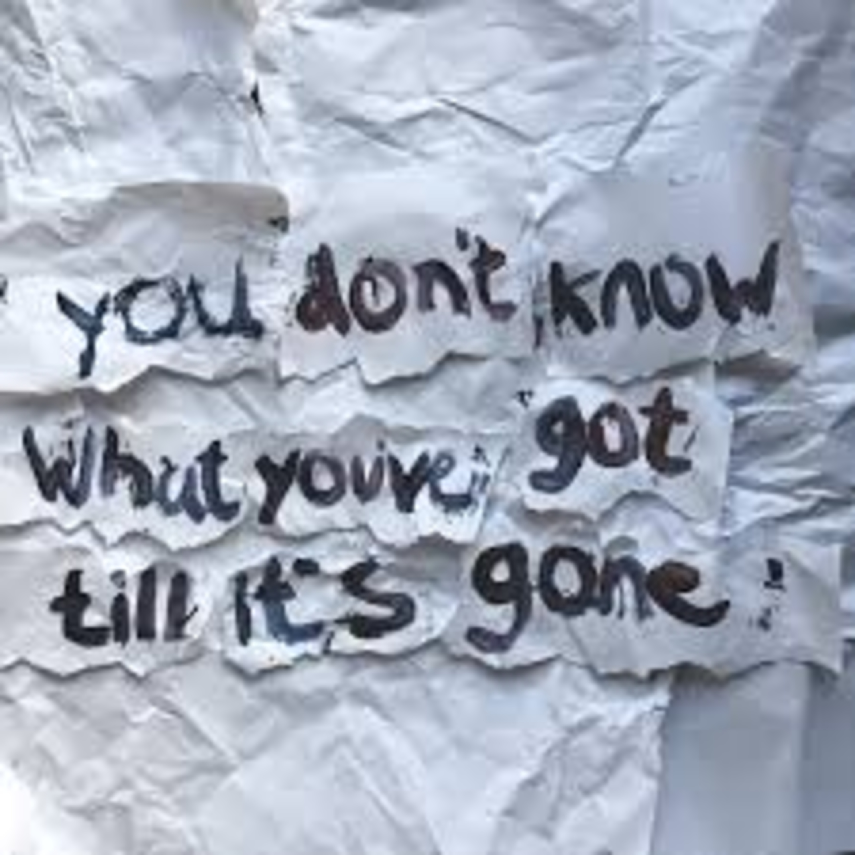 S2E25:You Never Know What You Got Til It’s Gone episode artwork