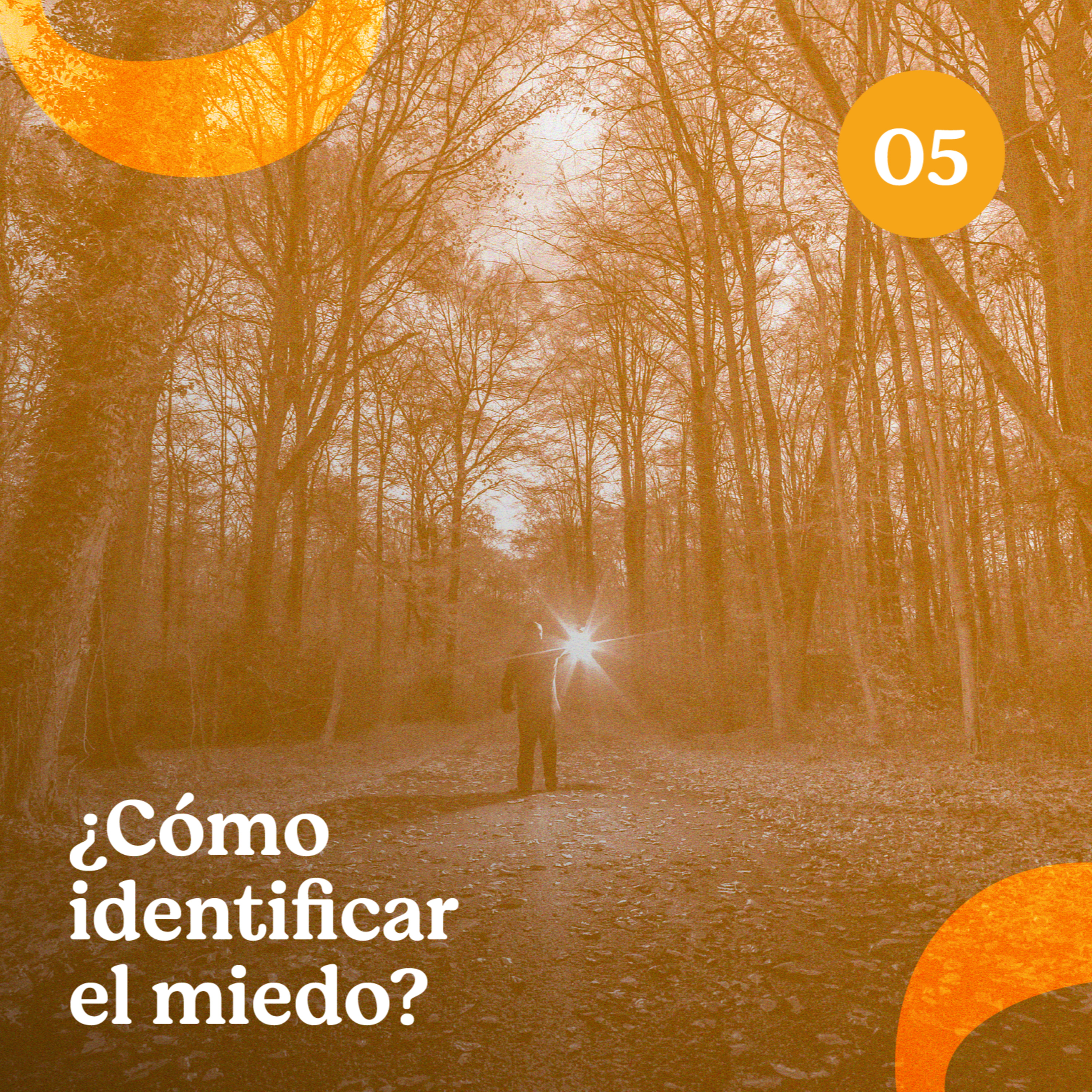 Por amor o por miedo