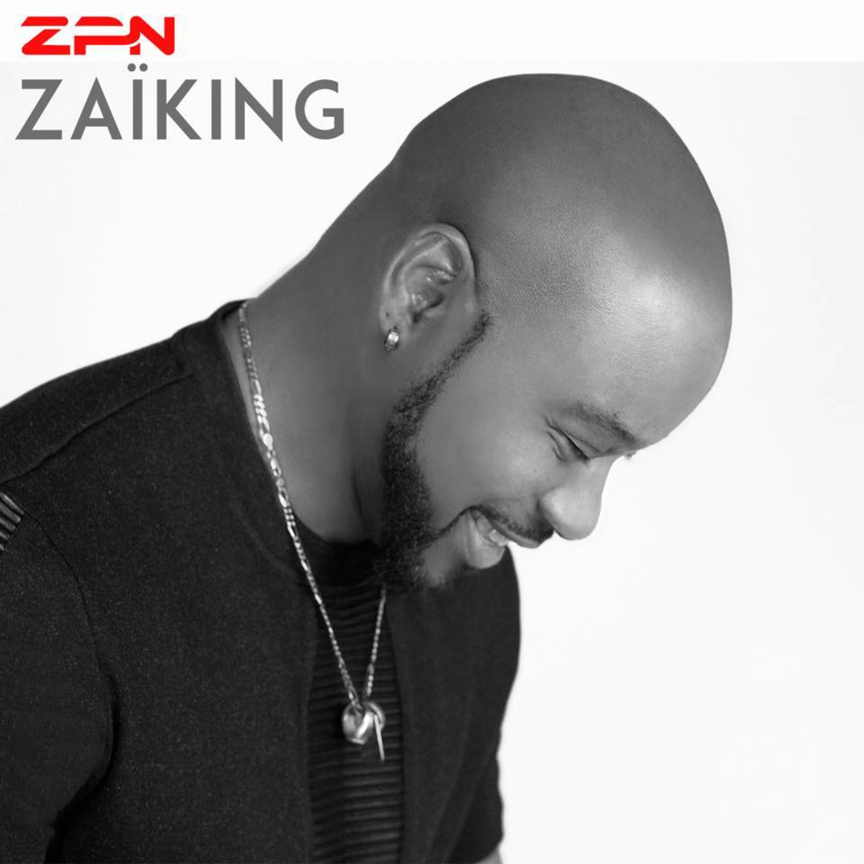 OEM - ZPN episode artwork