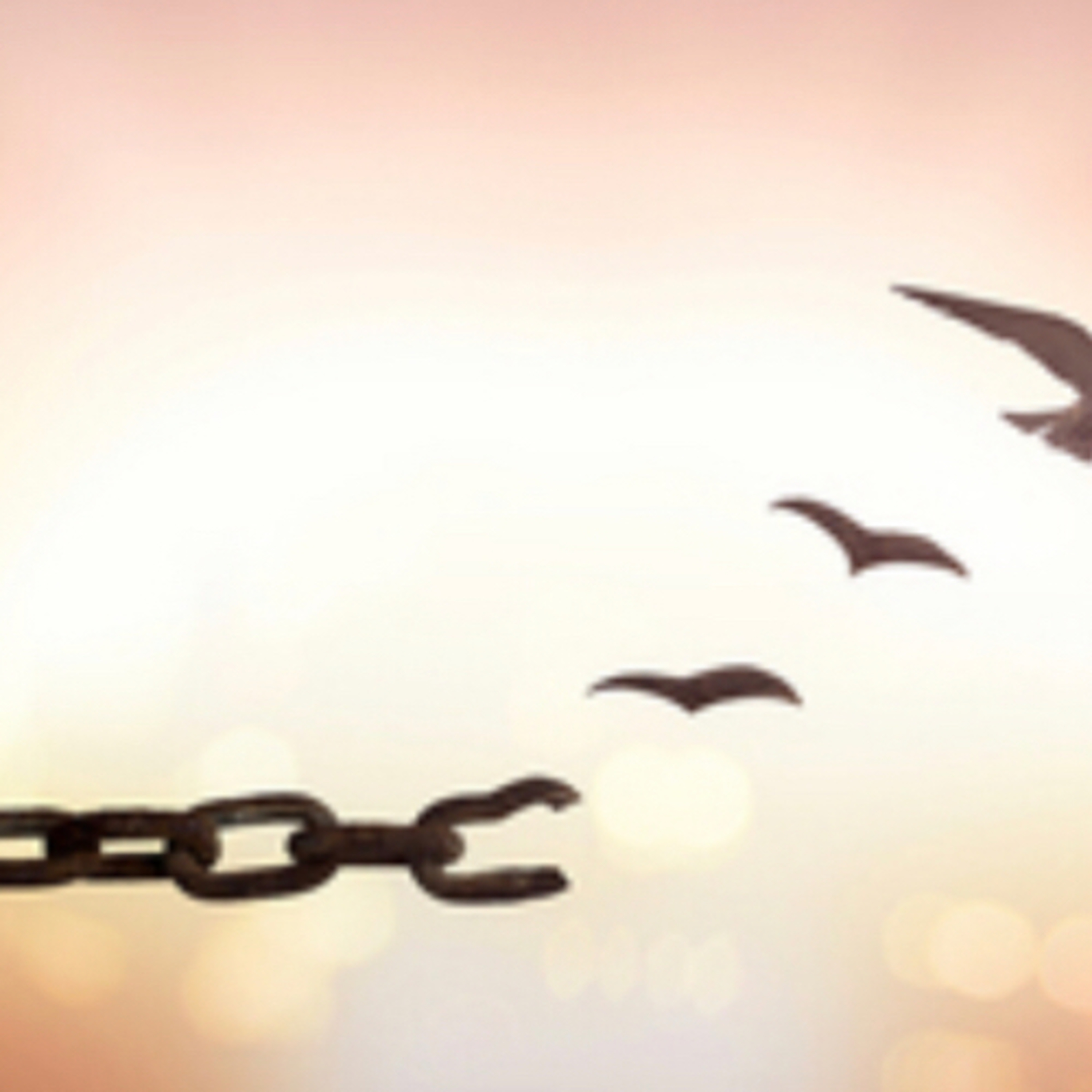 The Happiness, Joy, and Hope Podcast